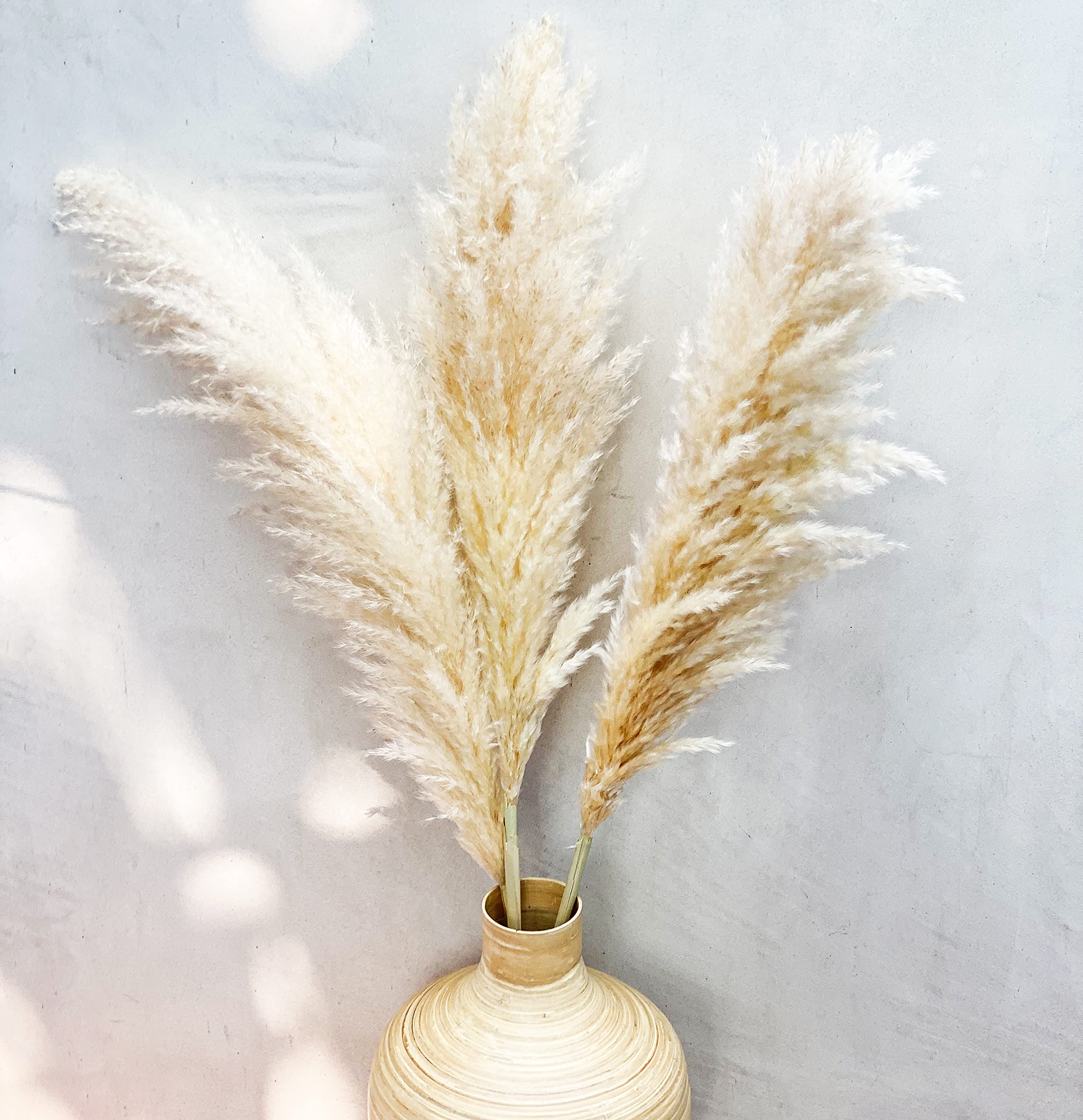 EZDC 4 Stems Natural Beige Dried Pampas Grass Large, 46” Tall Pampas Grass Plants, Pampas Grass