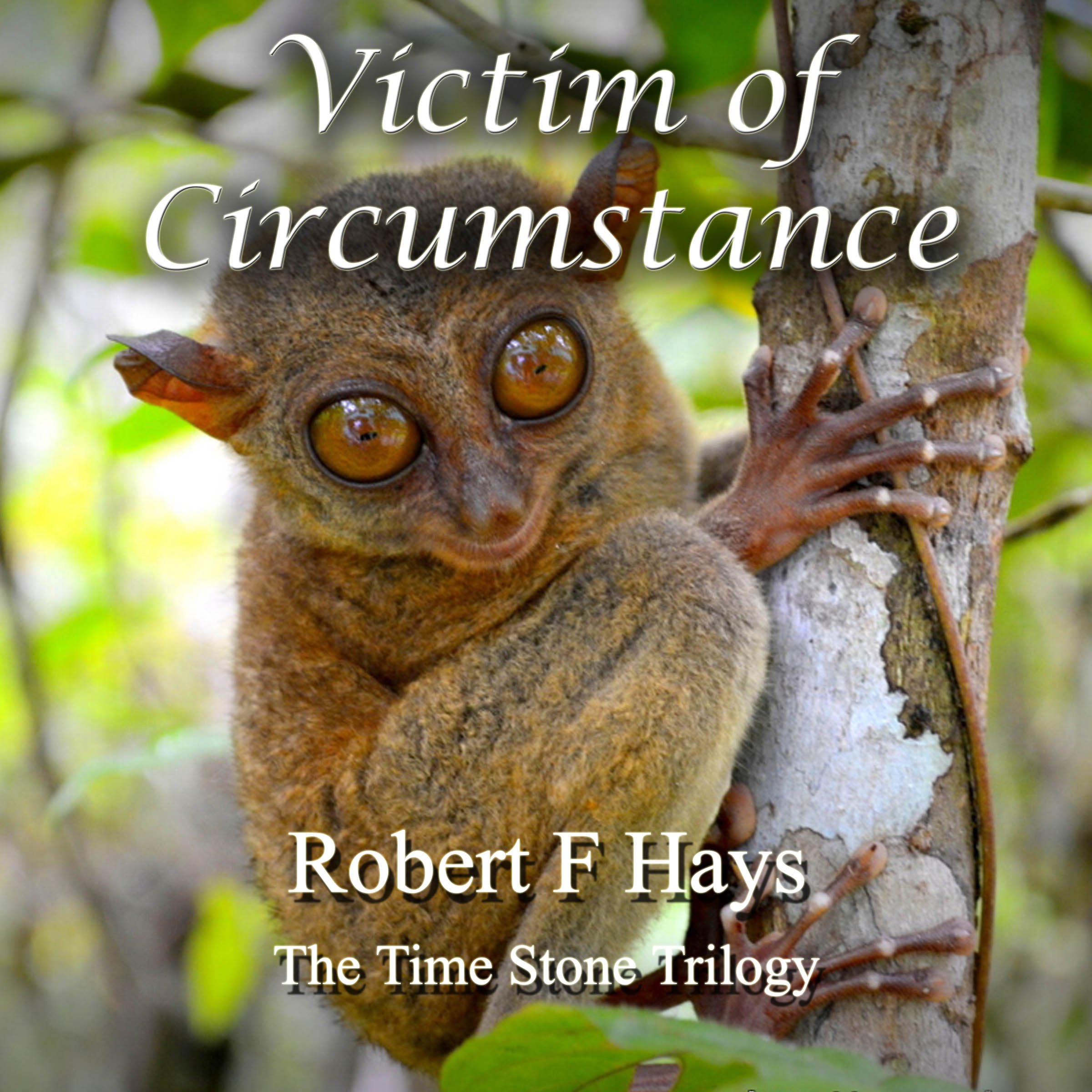 Cover art for Victim of Circumstance