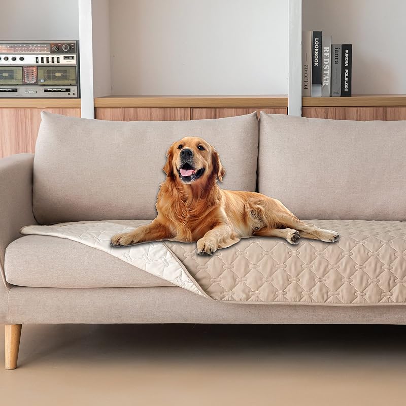 Manta Impermeável para Cães, Capa Dupla Face para Sofá e Cama gogobunny B-52