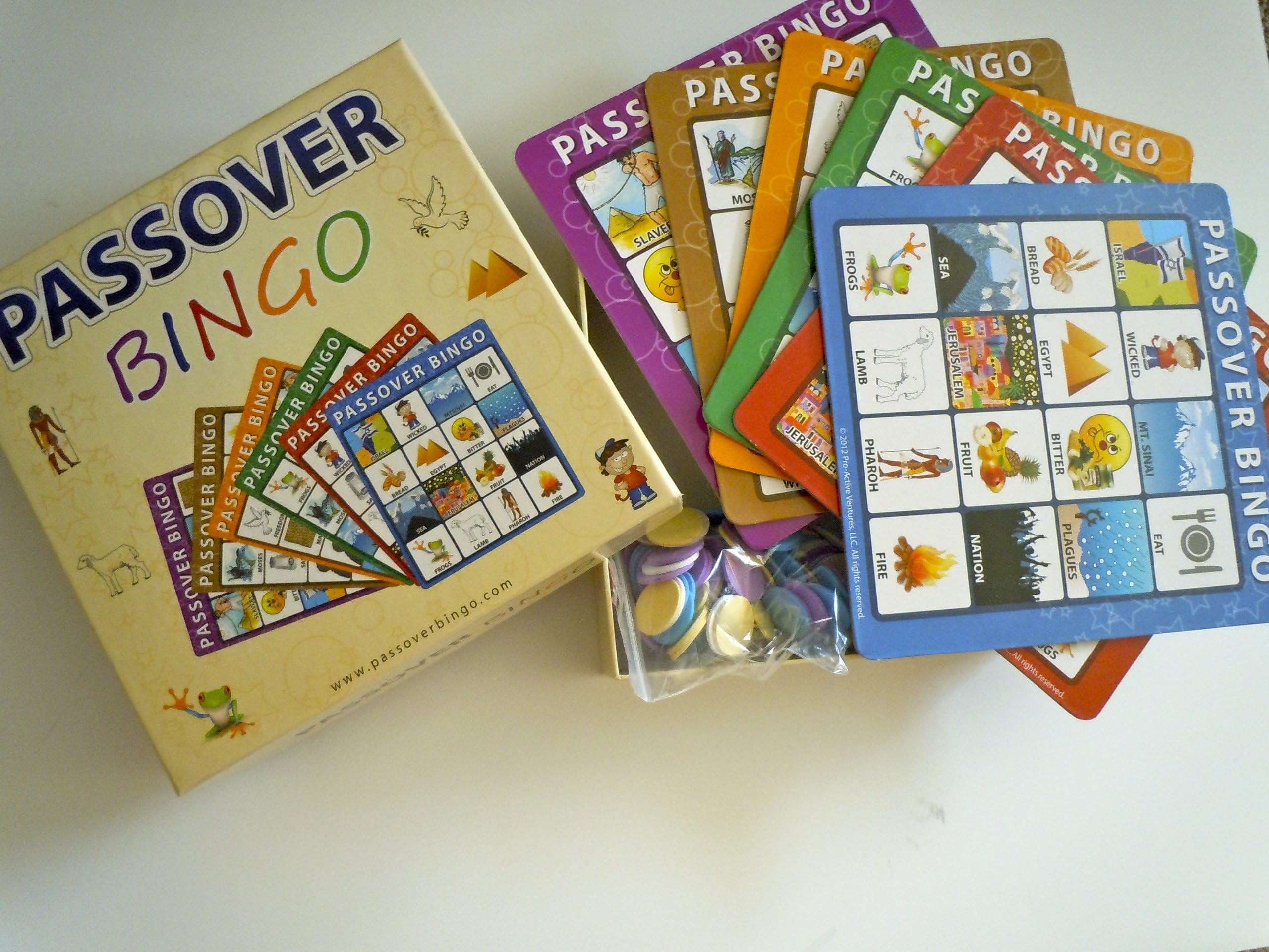 Passover Bingo Game
