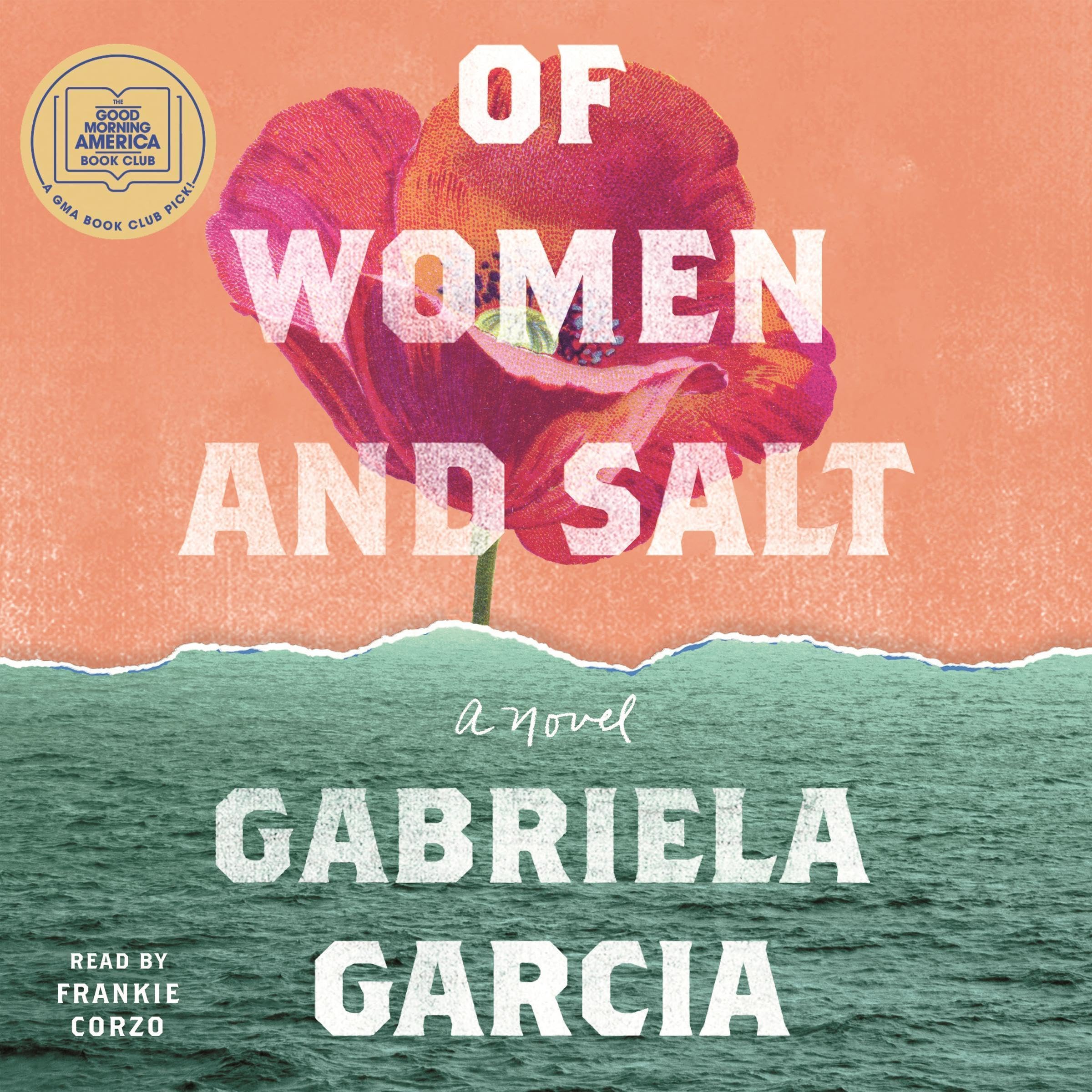 Cover art for Of Women and Salt