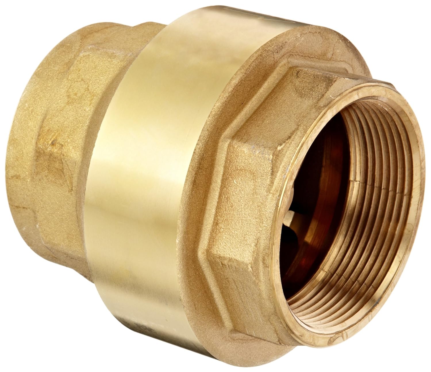 Dixon CV200 Brass Spring-Loaded Check Valve, 2" NPT Female