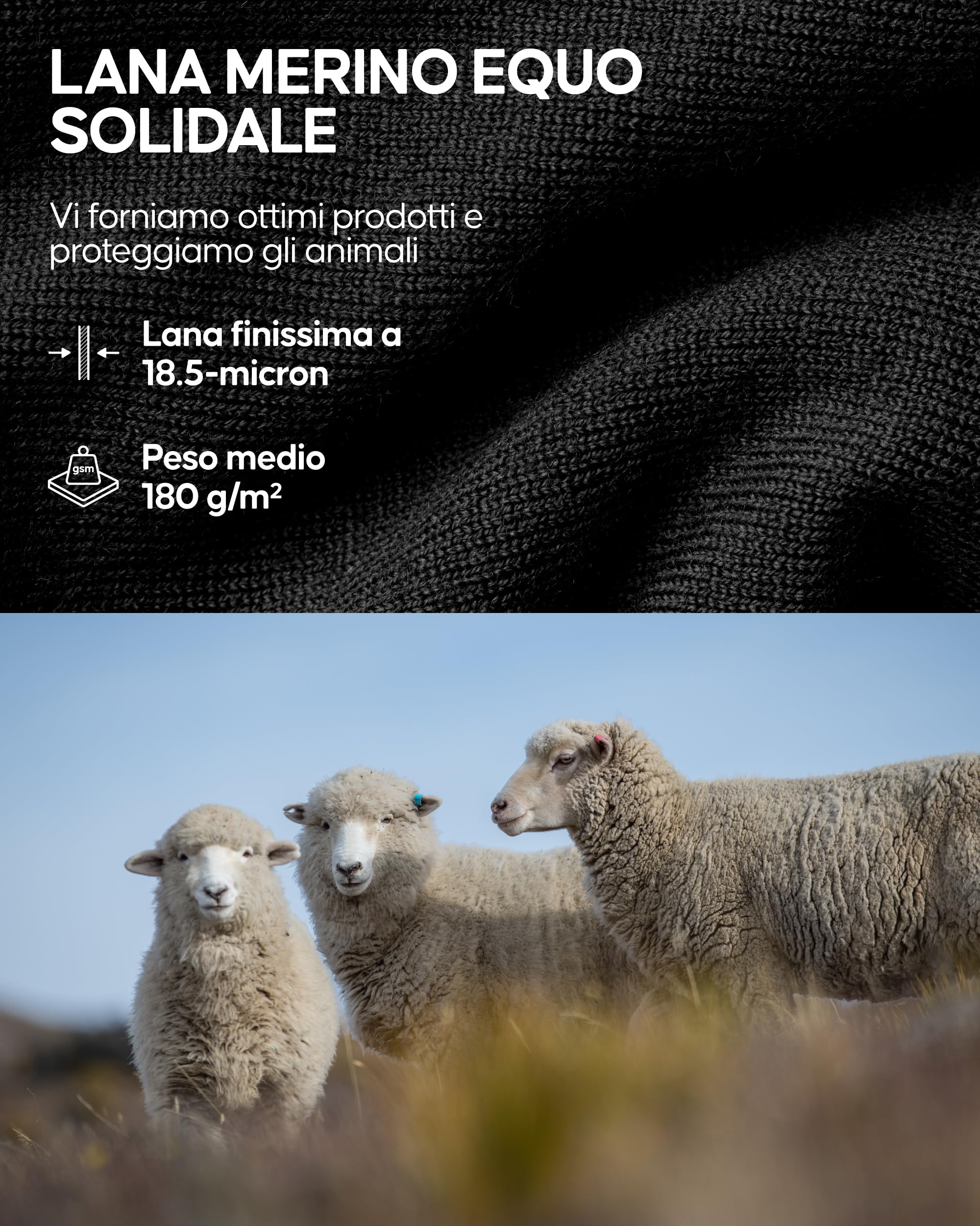 DANISH ENDURANCE Maglia Termica Uomo in Lana Merino, Manica Lunga, per Sci, Trekking, Escursionismo con o Senza Chiusura Zip