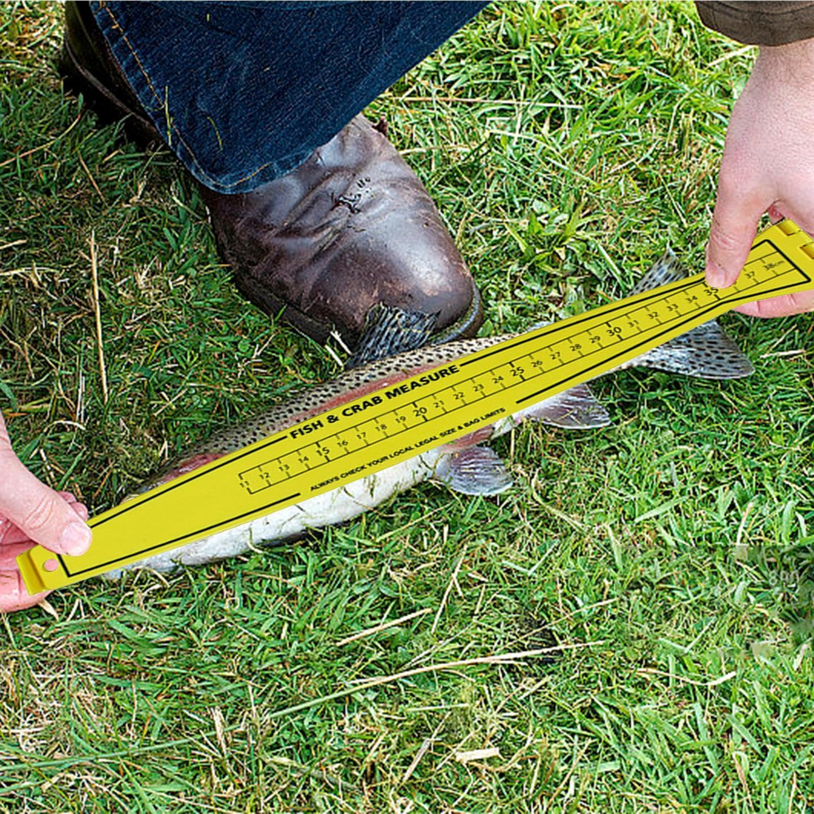 Best Fish Ruler For Boat Foldable Fish Measuring Board - 80cm Portable ...