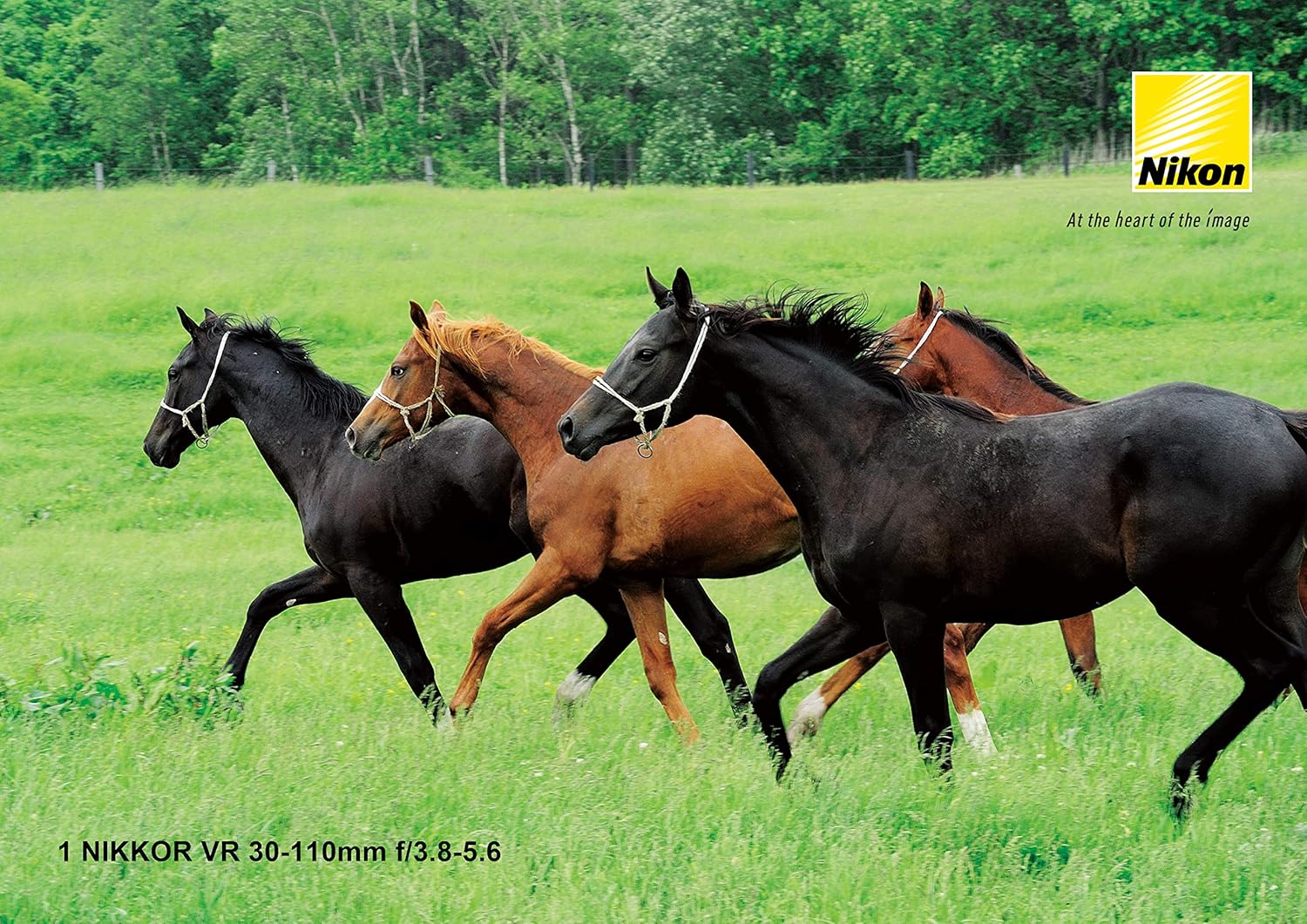 Nikon ZOOM LENS 1 NIKKOR VR 30-110mm f/3.8-5.6 SILVER ONLY FOR CX FORMAT