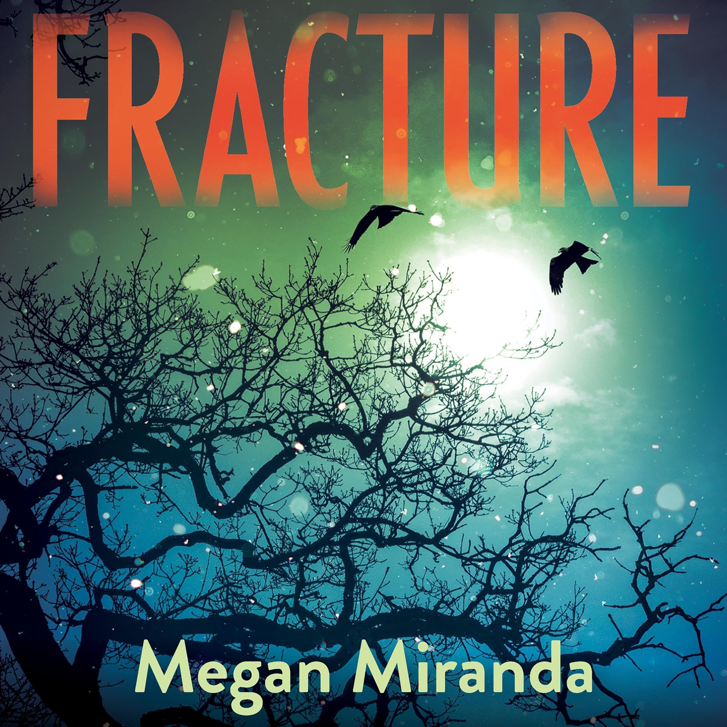 Cover art for Fracture: Fracture, Book 1