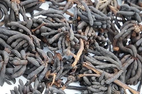 Miniatura 6 de AseLife Energy Selim Pepper - Cápsulas de 6 onzas de granos de Selim Uda Pepper hwentia negro pimienta delgada