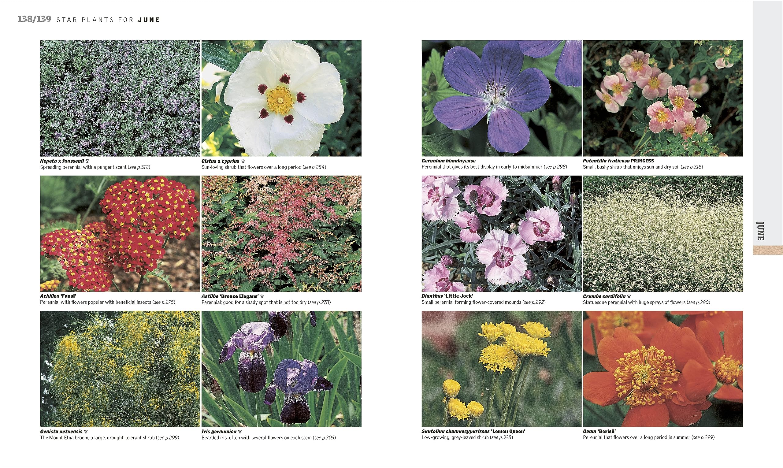 RHS Gardening Through the Year: New Edition - Month-by-month Planning Instructions and Inspiration