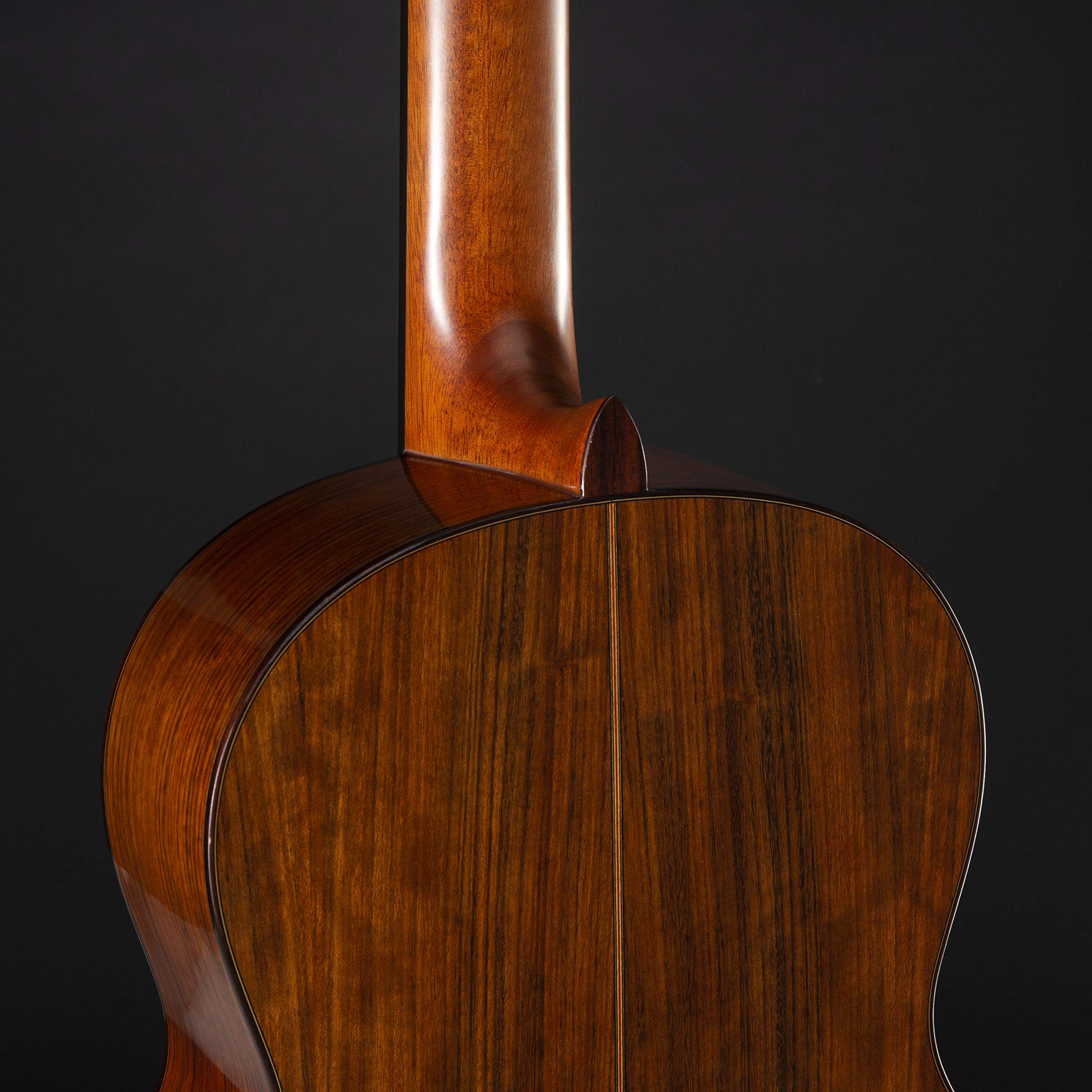 CG-TA Transacoustic - Chitarra classica 4/4