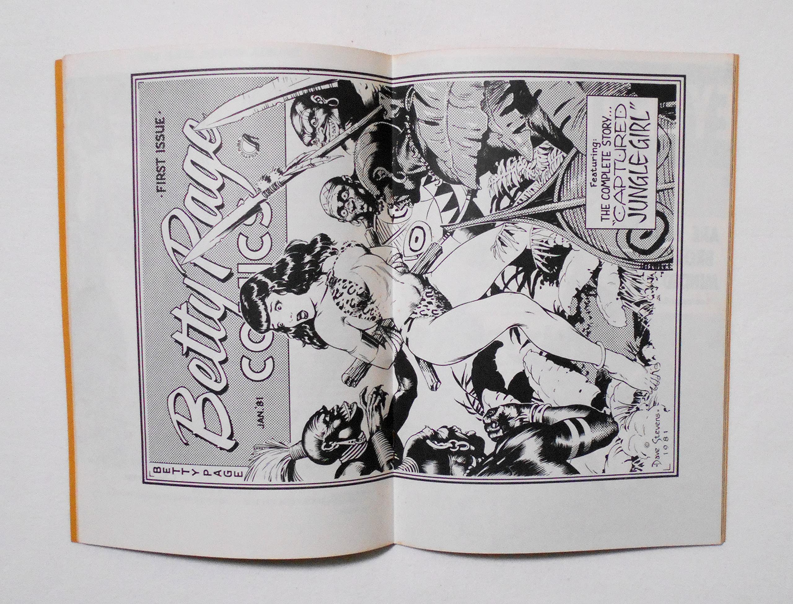 ベティ・ペイジ Betty PAGE 1950年代 カルトモデルBOOK TWO ベティ・ペイジ Betty PAGE 1950年代 カルトモデルBOOK TWO