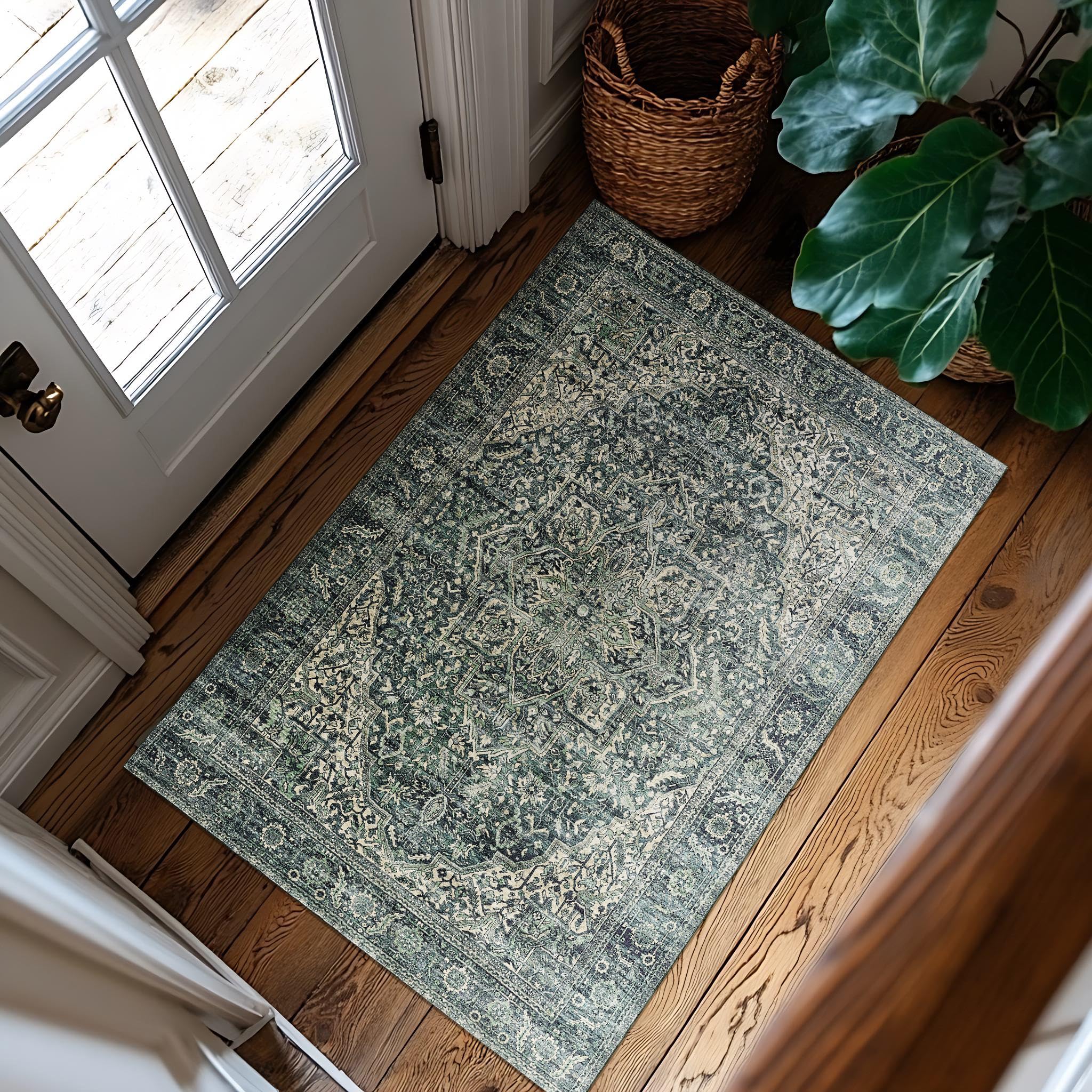 Amazon.com: BILEEHOME Dark Emerald Green 2x3 Rug for Living Room