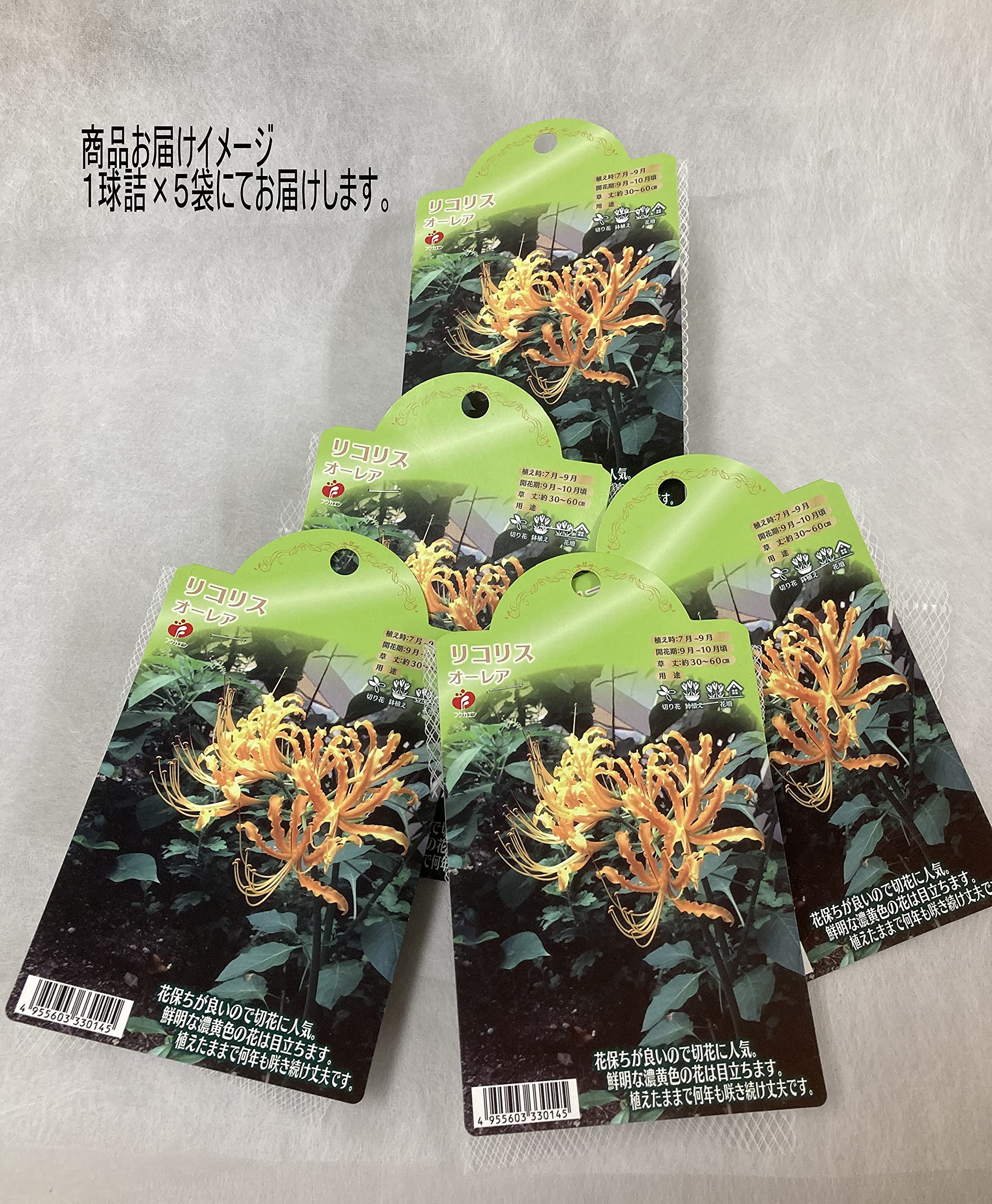 リコリス超レア品種「彩　雲」 リコリス・リコイル ESPRESTO-Aqua Twinkle-錦木千束｜タイトー