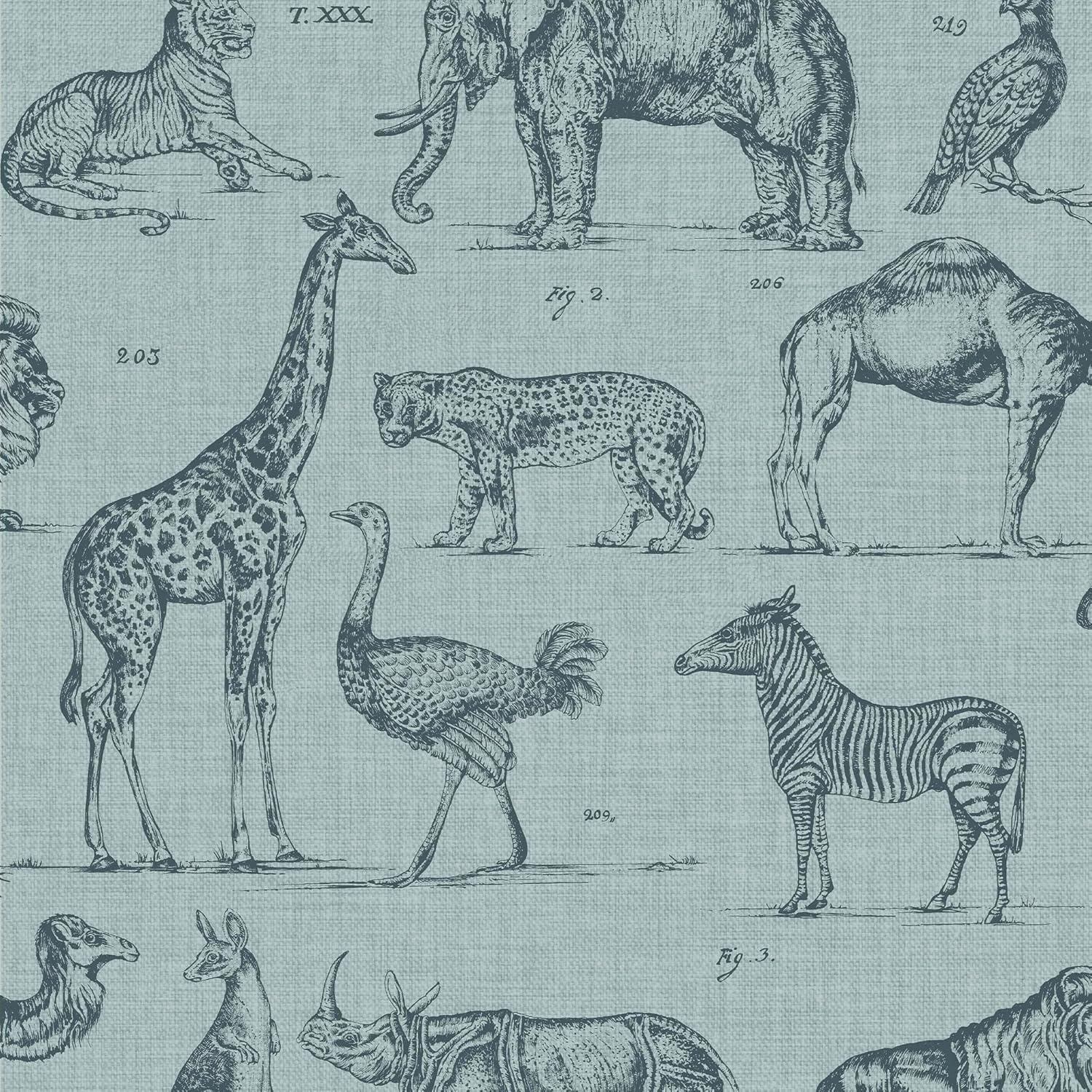 Superfresco Easy Blue Zooology Nature Wallpaper