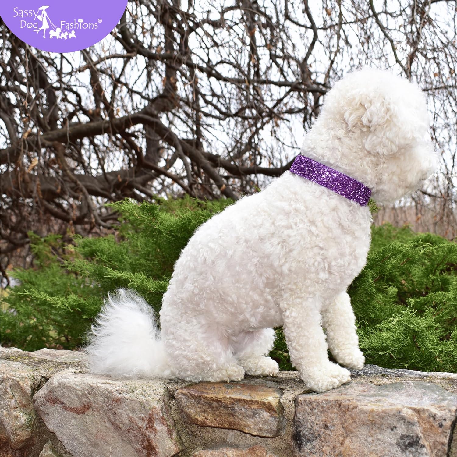 Personalized Sparkling Glitter Dog Collar with Engraved Buckle or Embroidered Name ID, Custom Metalllic Bling Pet Collar, Handmade in USA (Purple)