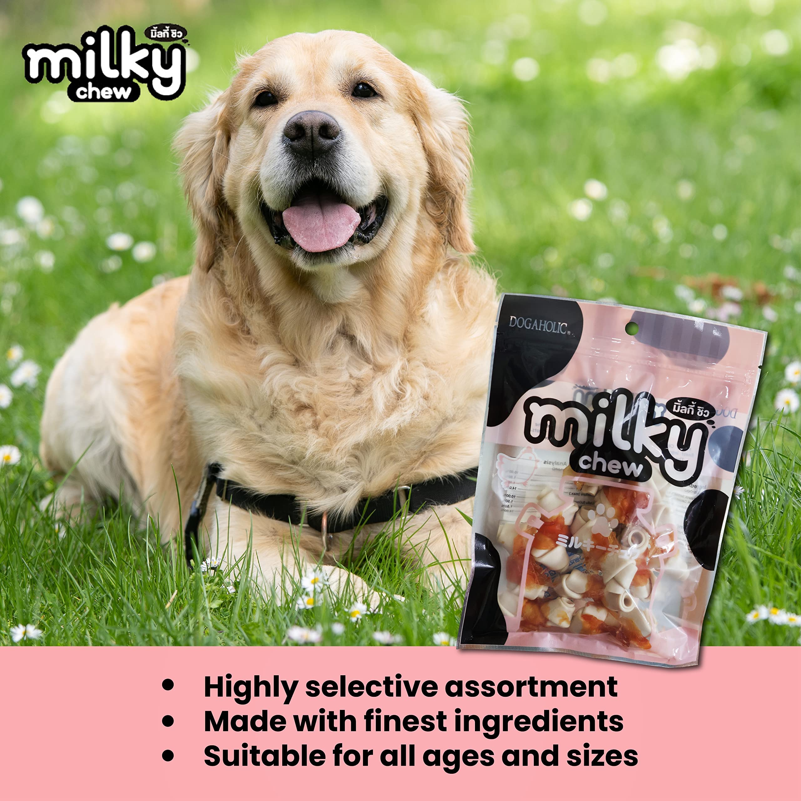 Rena, Milky Chew Chicken Bone Style for Dogs of All Ages & Sizes Milk-Flavoured Treat Rawhide, Nutritional Benefits, Muscle Development, 10 Piece, Pack of 2 4