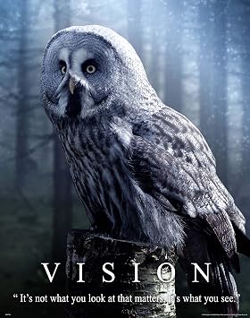 Great Grey Owl Wildlife Motivational Poster Art Print 11x14 Wall Decor Pictures Focus School Classroom Educational Student Principal Gift