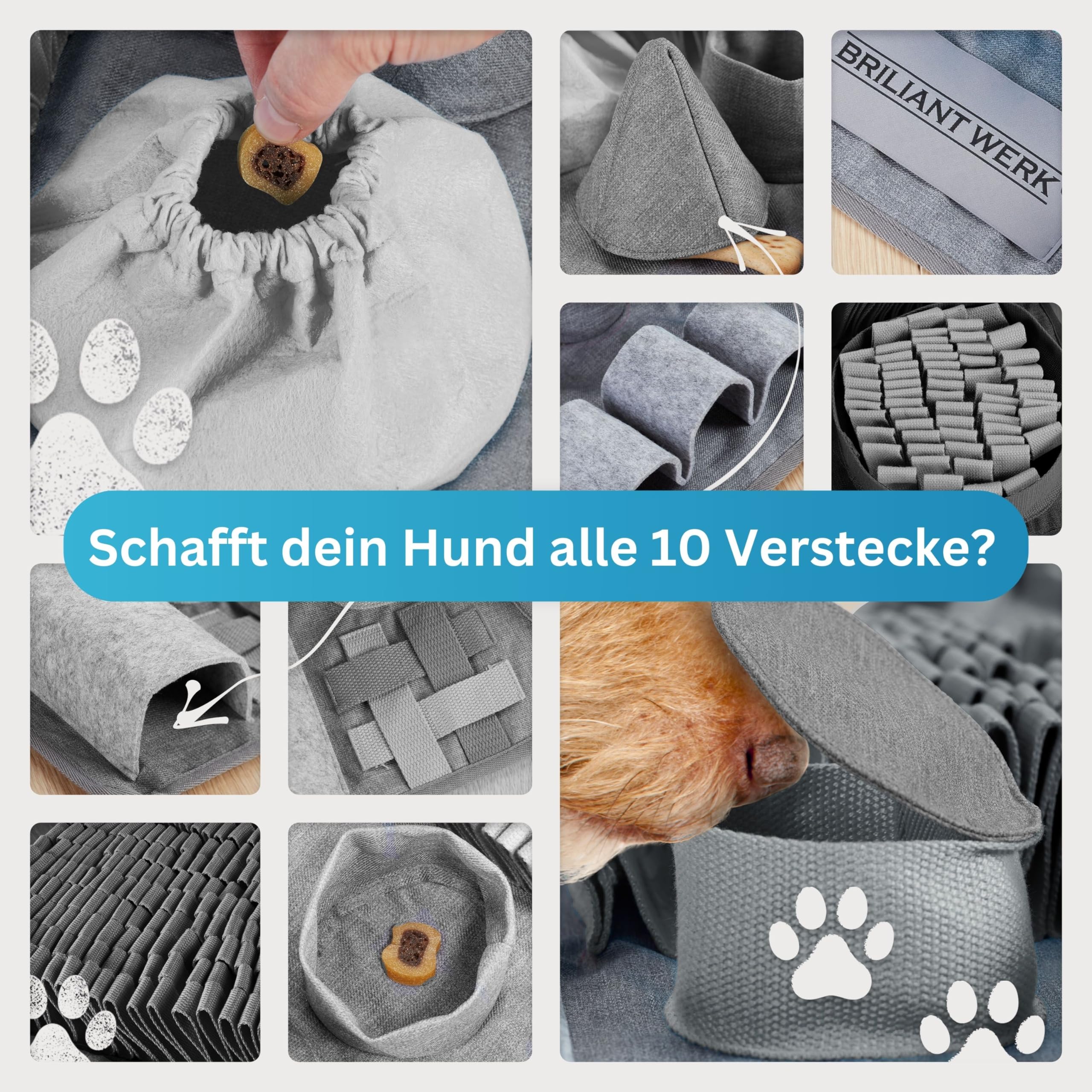 Briliantwerk®️ Schnüffelteppich Hund – Extrem widerstandsfähiges Material - 10 Trainingselemente und 3 Schwierigkeitsstufen – Das Intelligenzspielzeug für Hunde jeder Größe (Grau)