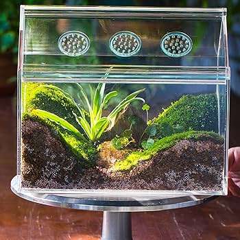 40cmイモリウム テラリウム パルダリウム水槽 40cmイモリウム テラリウム パルダリウム水槽 イモリウム パルダリウム
