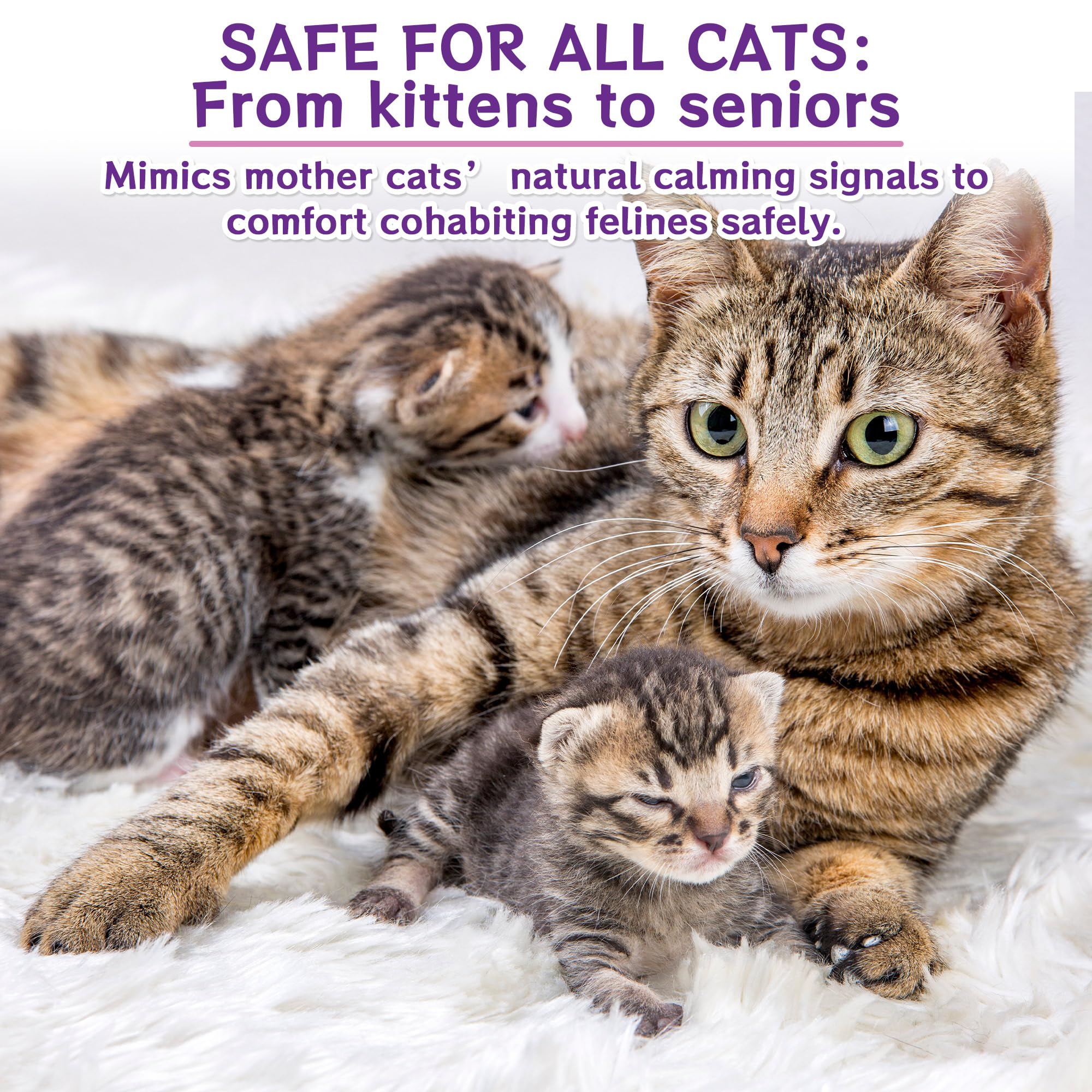 6-IN-1 Katze Pheromon Beruhigende Diffusor (2 Stecker + 4 Refills), Pheromon Diffusor für Katzen, Angst lindern, Helfen, Kämpfe zu reduzieren, Sprühen & Kratzern, Drogenfrei & Geruchlos Sicher 120 Tag