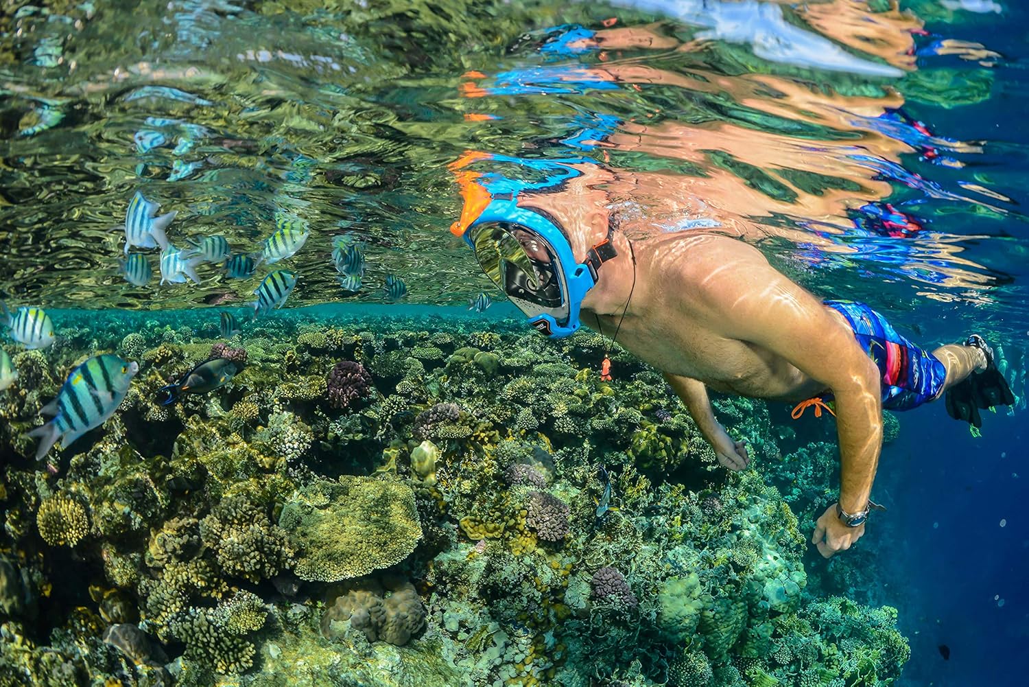 OCEAN REEF - Aria QR + Quick Release Snorkeling Mask - Full Face Snorkeling Mask - 180 Degree Underwater Vision - 8 Colours and 4 Sizes