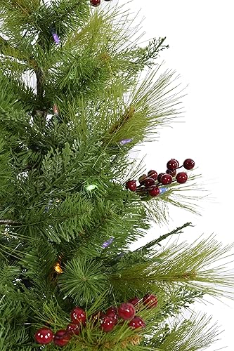 Miniatura 55 de Fraser Hill Farm Árbol de porche de 3 pies con luces LED multicolor Luces LED multicolor,Luces LED de color blanco cálido