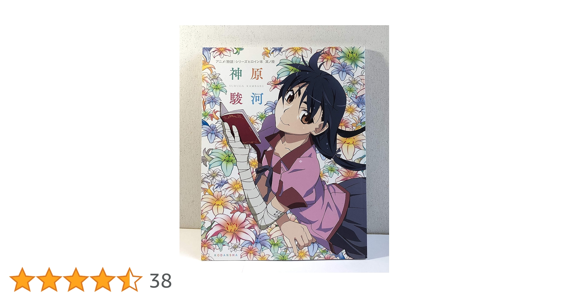 アニメシリーズヒロイン本 其ノ陸 神原駿河 | 講談社BOX |本