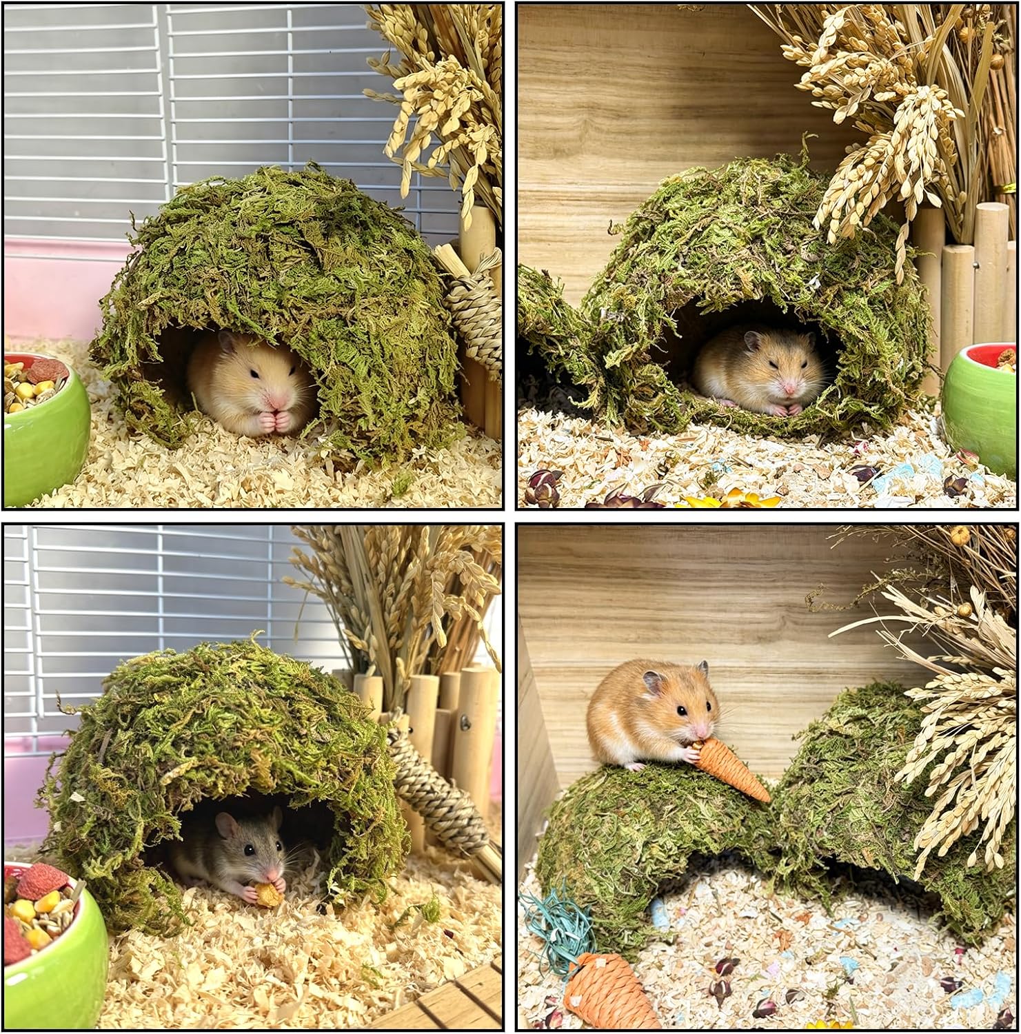 Hamster Hideout, Hamster House, Natural Mossy Coconut Hut,Gerbil Cave Hides | Natural Mossy Coconut Hut, Gerbil Cave Hides, Small Animal Cage Accessories for Mouse Mice Rat Reptiles (Set)