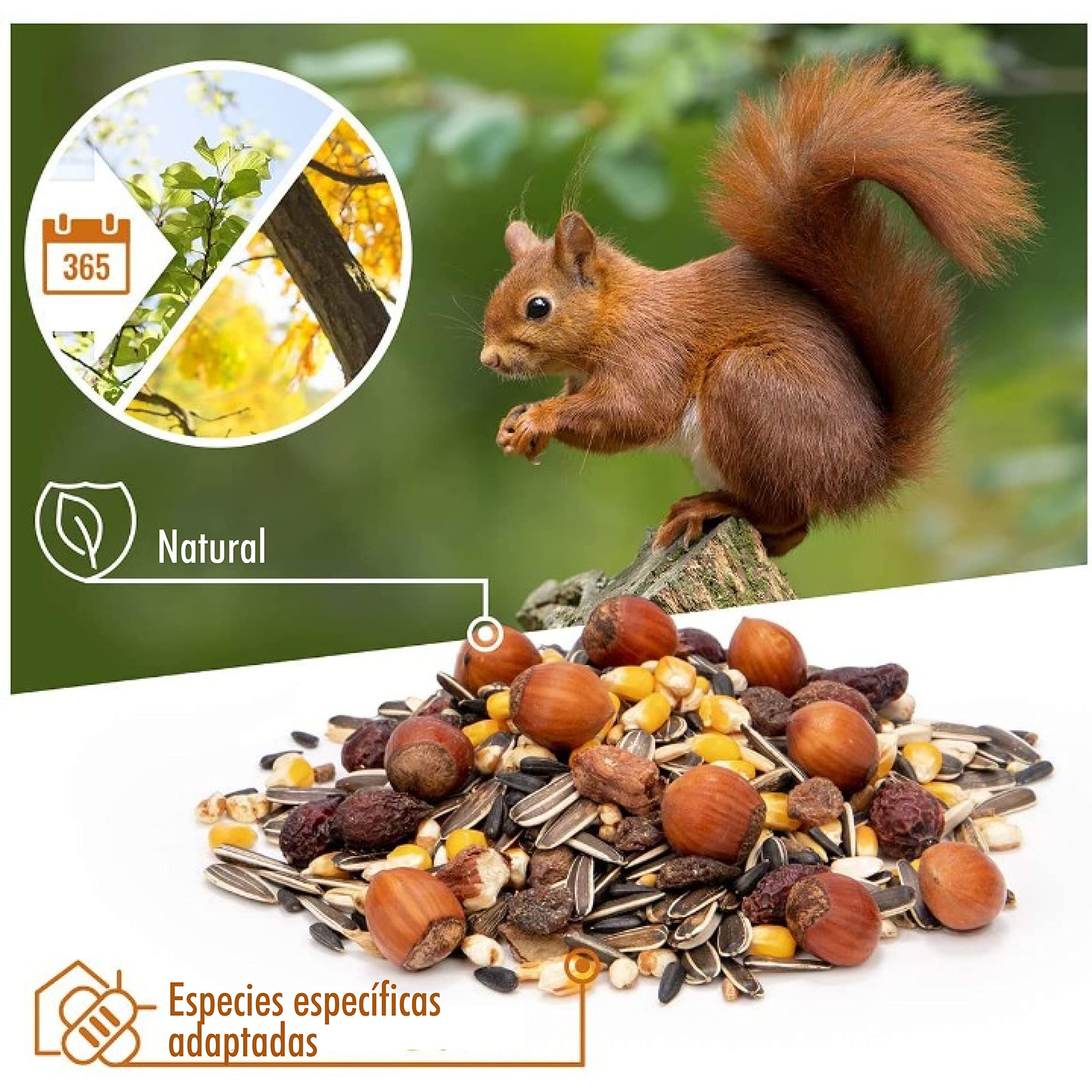 wildtier herz I Alimentación para Ardillas 1kg I Comida de Ardillas para Alimentos - Alimento para Ardilla