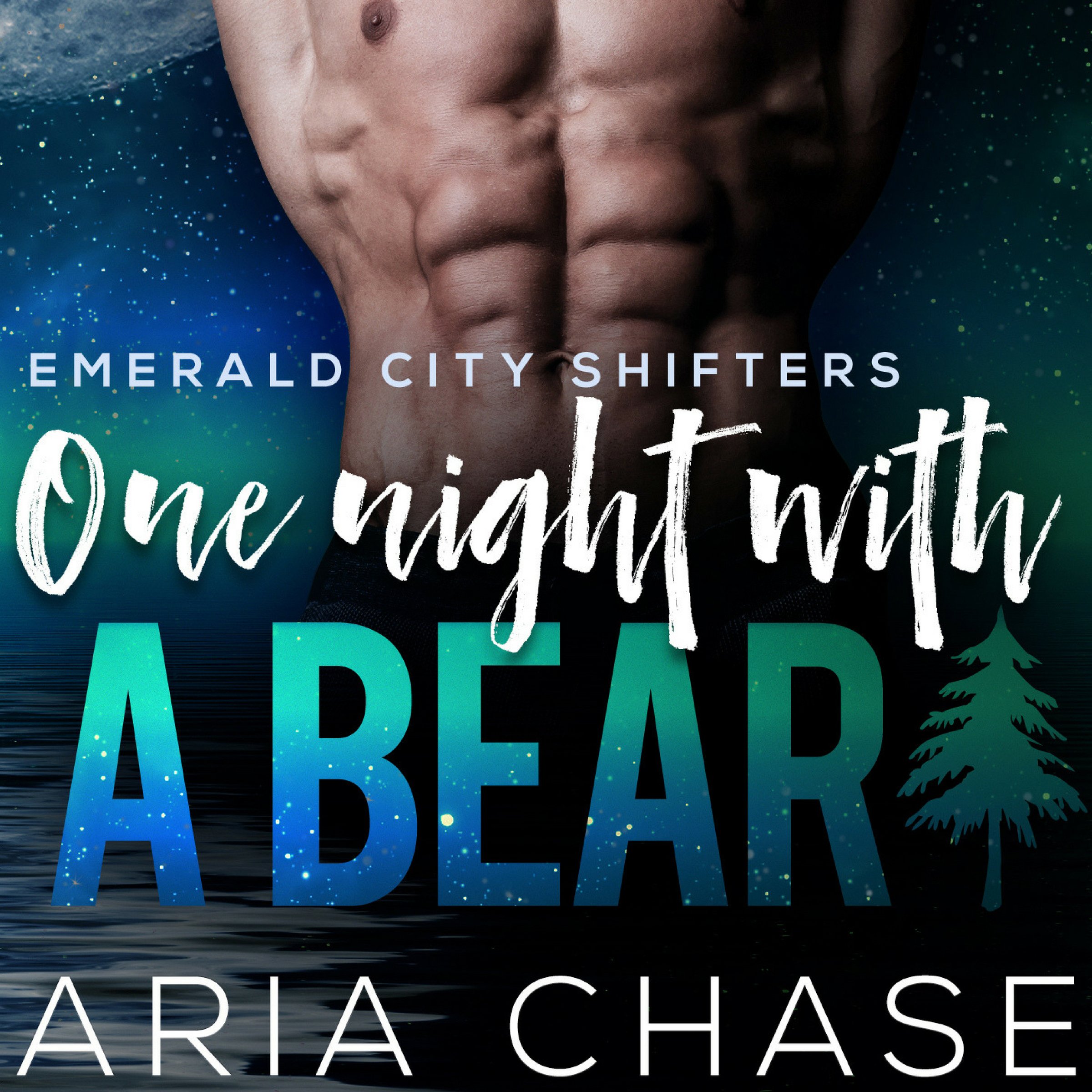 Cover art for One Night with a Bear