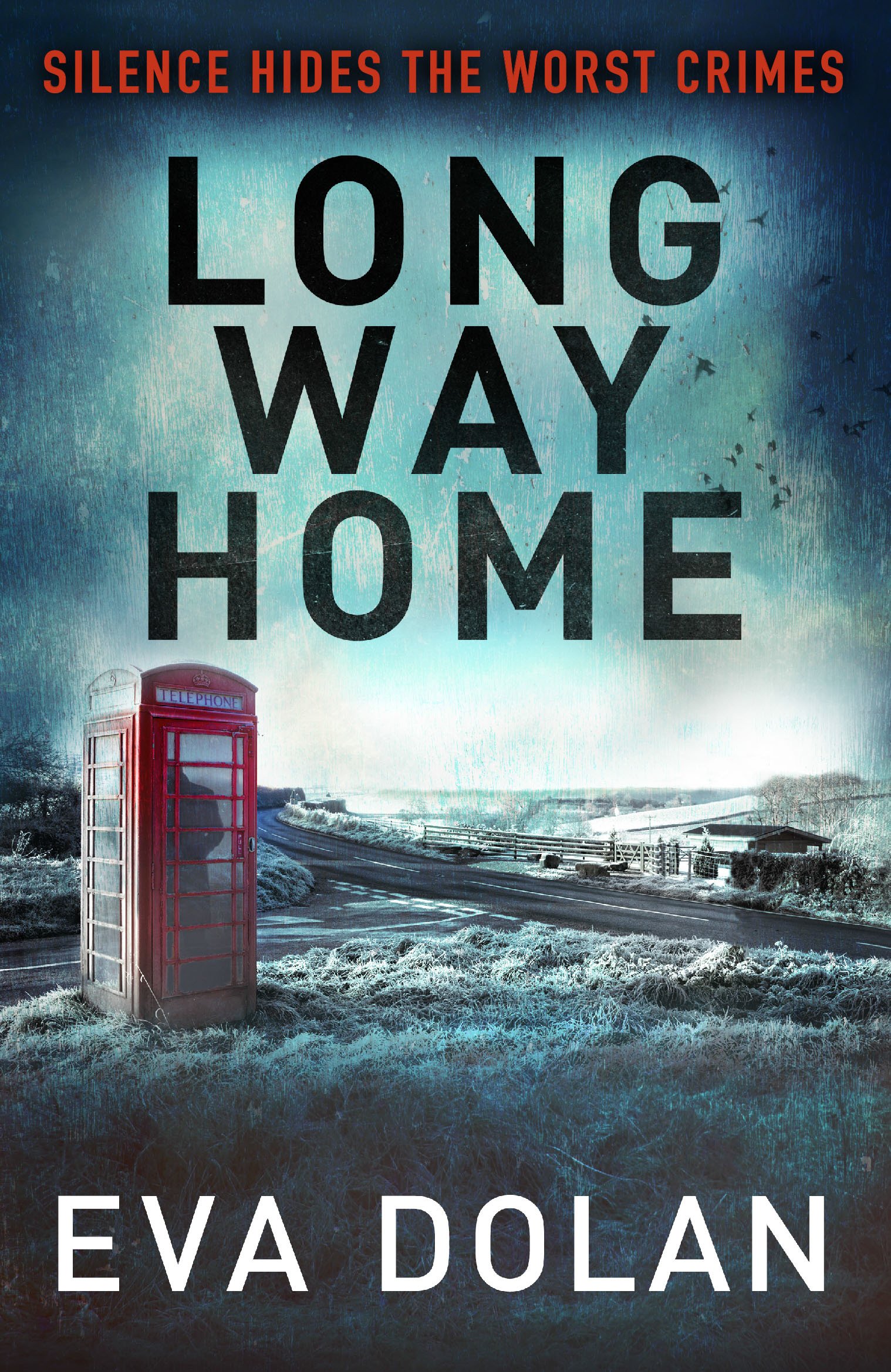 Long Way Home: 1 (DI Zigic & DS Ferreira, 1)