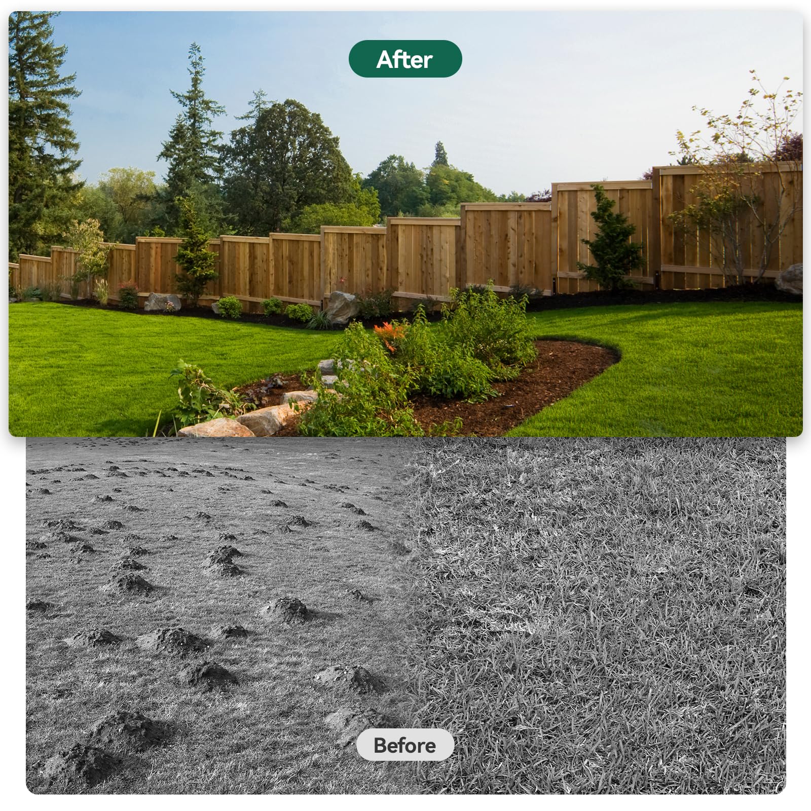 Warmiehomy Rastrillo de jardín de 76 x 25 cm, rastrillo de hojas para jardinería con mango ajustable de 213 cm, herramienta de nivelación de césped resistente para ahorrar esfuerzo, nivelador de patio