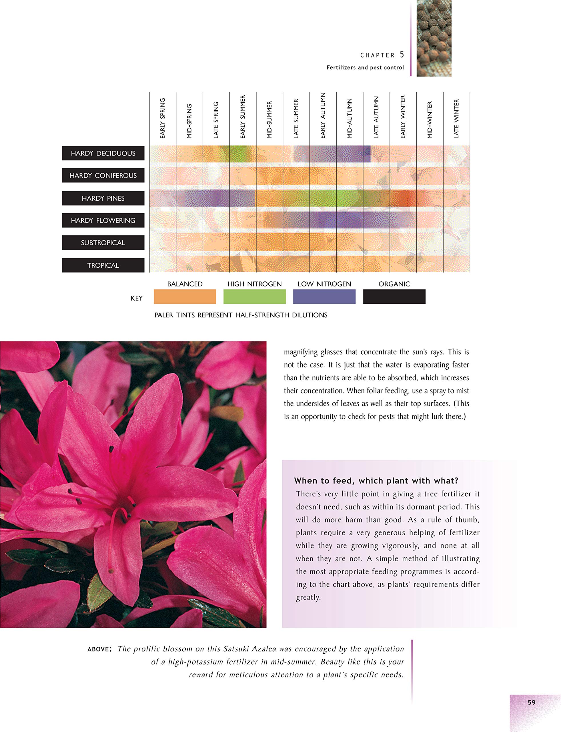 The Bonsai Handbook