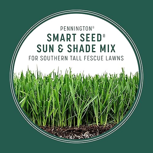 Miniatura 5 de Pennington Smart Seed Sun and Shade - Mezcla de semillas de césped alto para césped del sur, 20 libras
