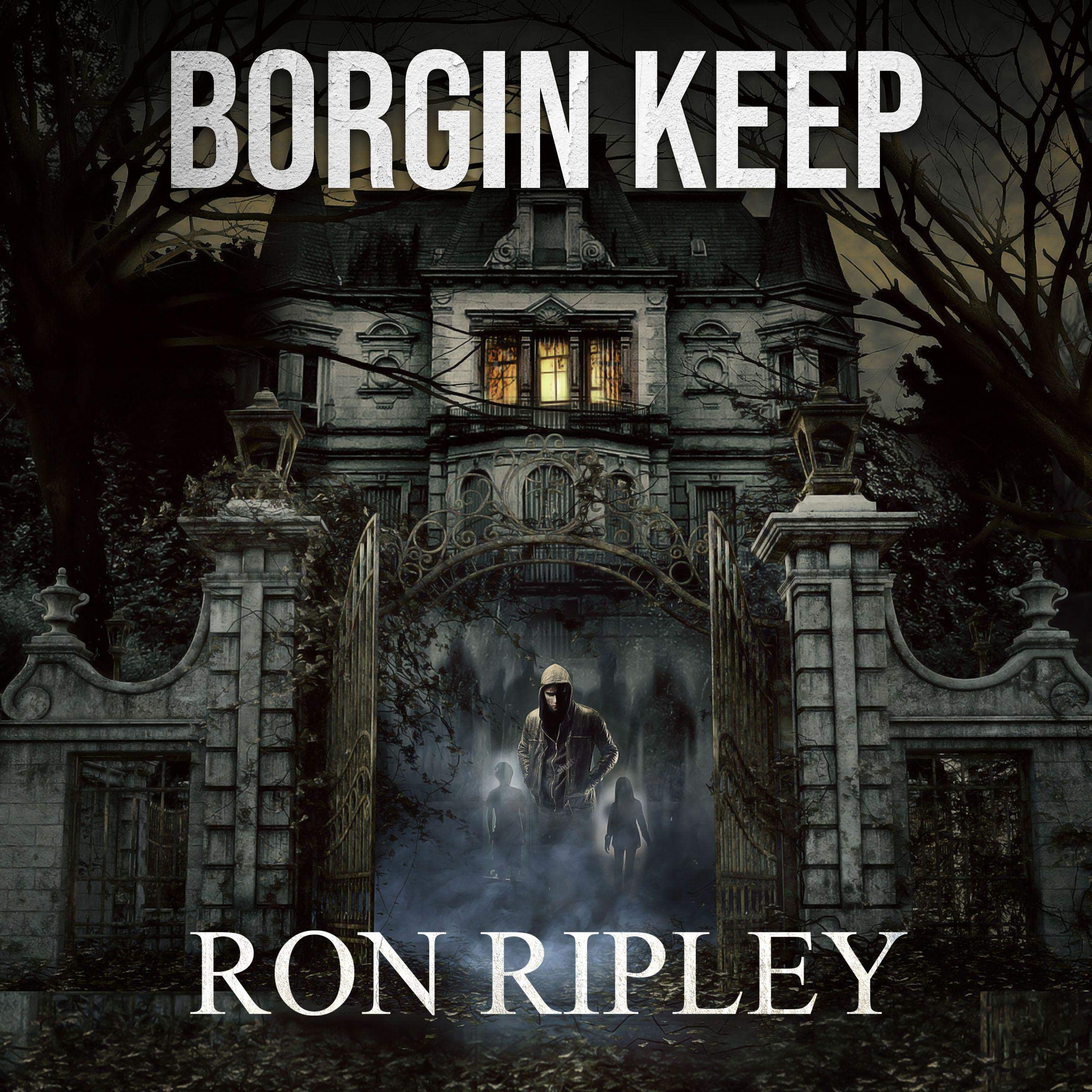 Cover art for Borgin Keep