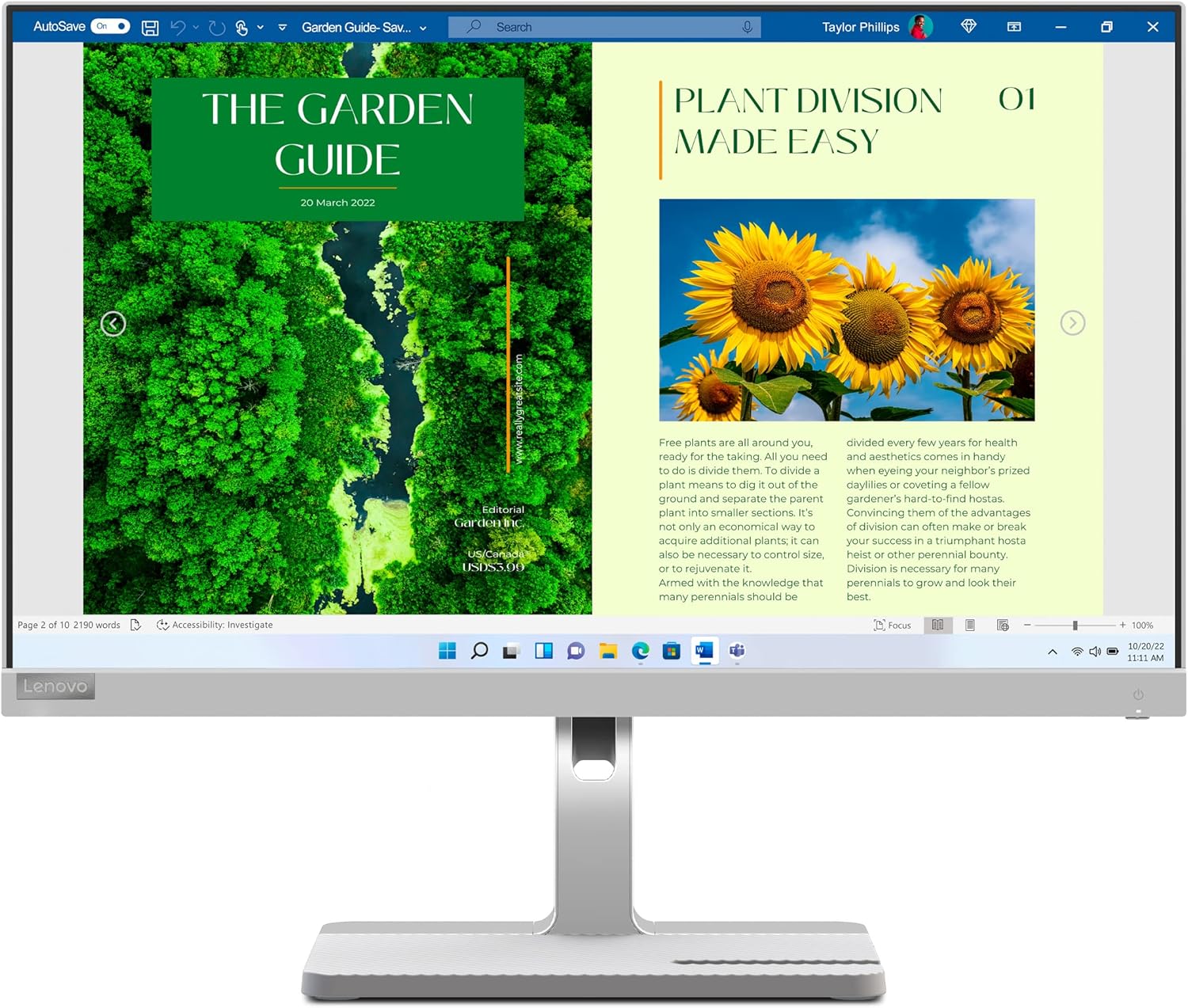 Lenovo L24m-40 - Monitor 24