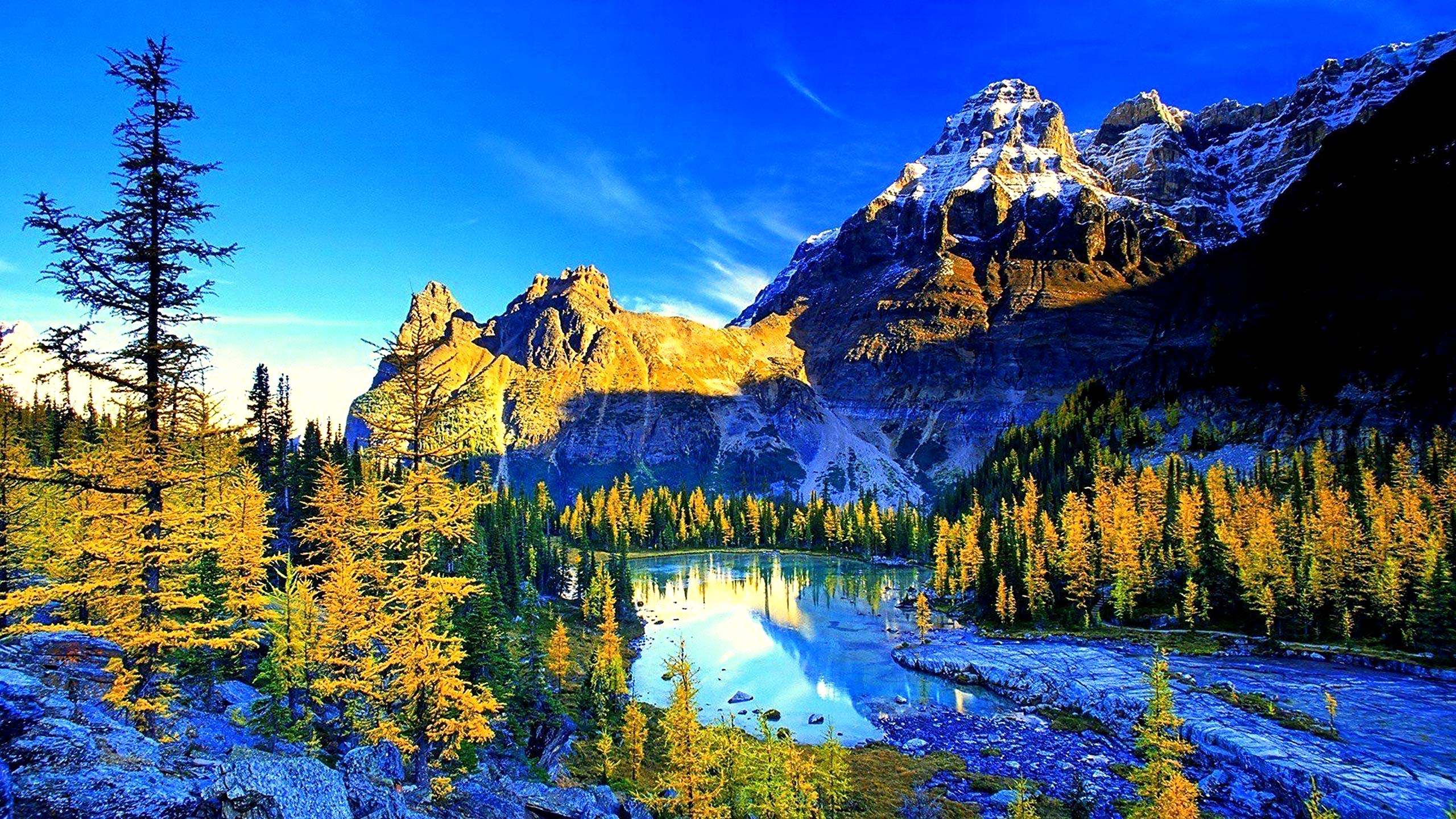 My D SQUARE Nature Wallpaper Self Adhesive Vinyl Mountain Wall Sticker for Home Decor Size 24 x 18 Inch Area 3 Sq. Ft.