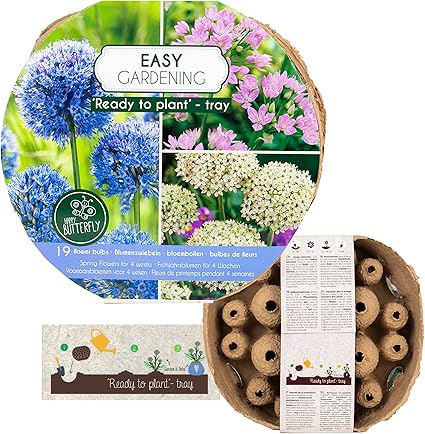 Plant In A Box Schattengarten - 50 Blumenzwiebeln Für Schatten & Halbschatten - Frühblüher Mix Mit Krokus & Narzissen