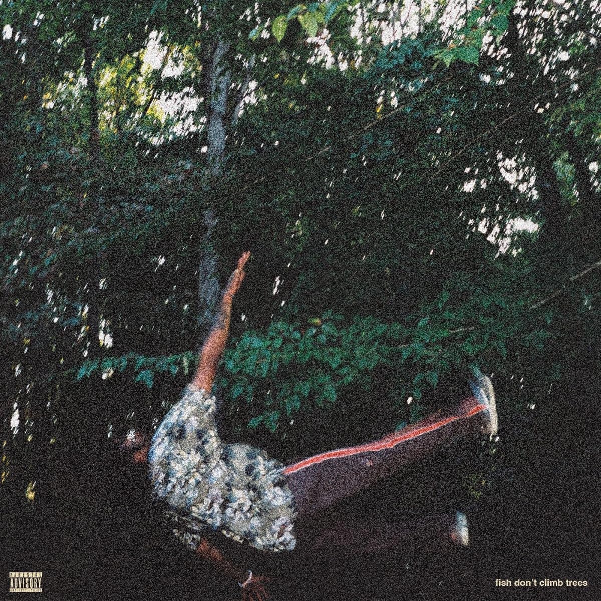 Fish Don't Climb Trees [VINYL]