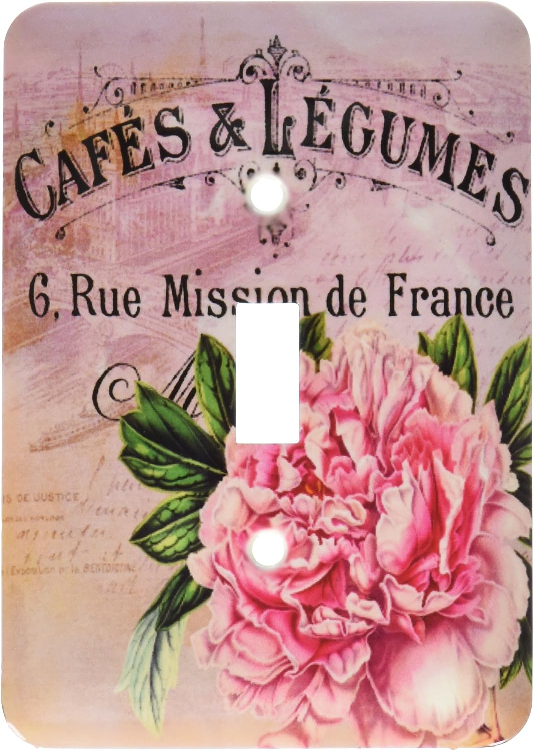 3dRose LLC lsp_123376_1 French Vintage Pink Peony Botanical Single Toggle Switch