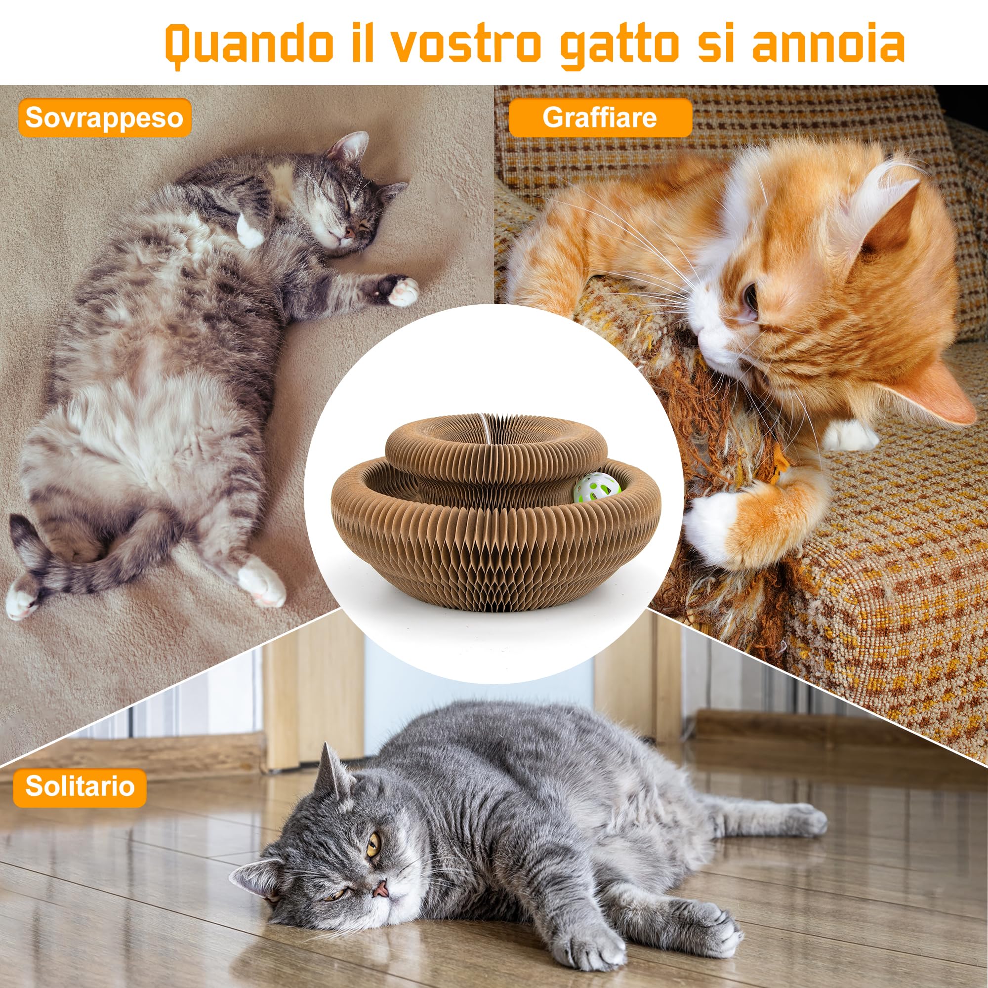 Magic Organ Tiragraffi per gatti | 2 in 1 pieghevole con campanella | Giocattolo interattivo e casetta di cartone per gatti domestici (Dimensioni standard)