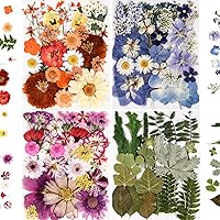 Nisetten 110+ Pressed Dried Flowers & Leaves Kit with Tweezers for Resin Jewelry, Crafts, Candles, Nail Art - Real Colorful Botanicals