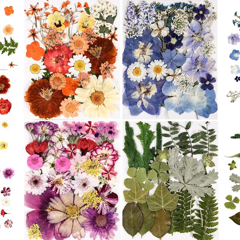 Más de 110 piezas de flores prensadas secas para manualidades de resina Colorful-C | Flores y hojas secas reales con pinzas para moldes de resina, joyería DIY, álbumes de recortes, jabón, velas, decoración de uñas, tarjetas