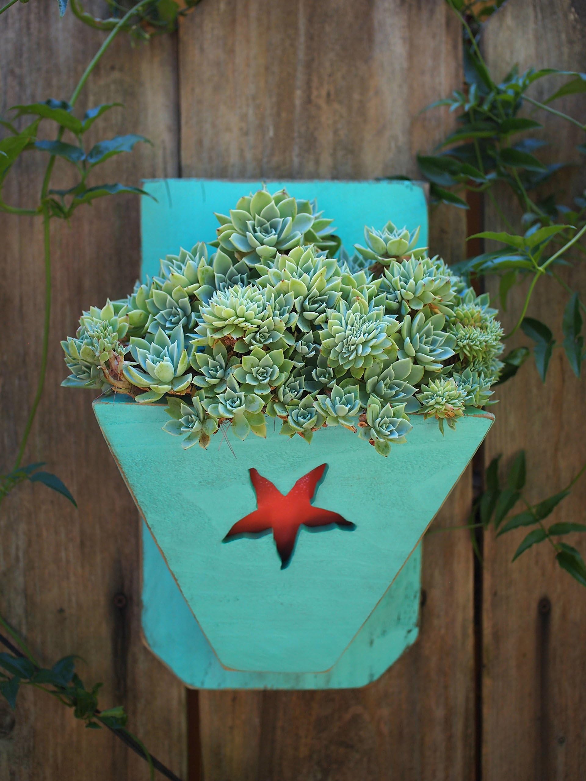 Beach decor - Wall art - Succulent planter - Wood planter - Turquoise planter - Reclaimed wood wall art - Repurposed wood - Planter - Rustic