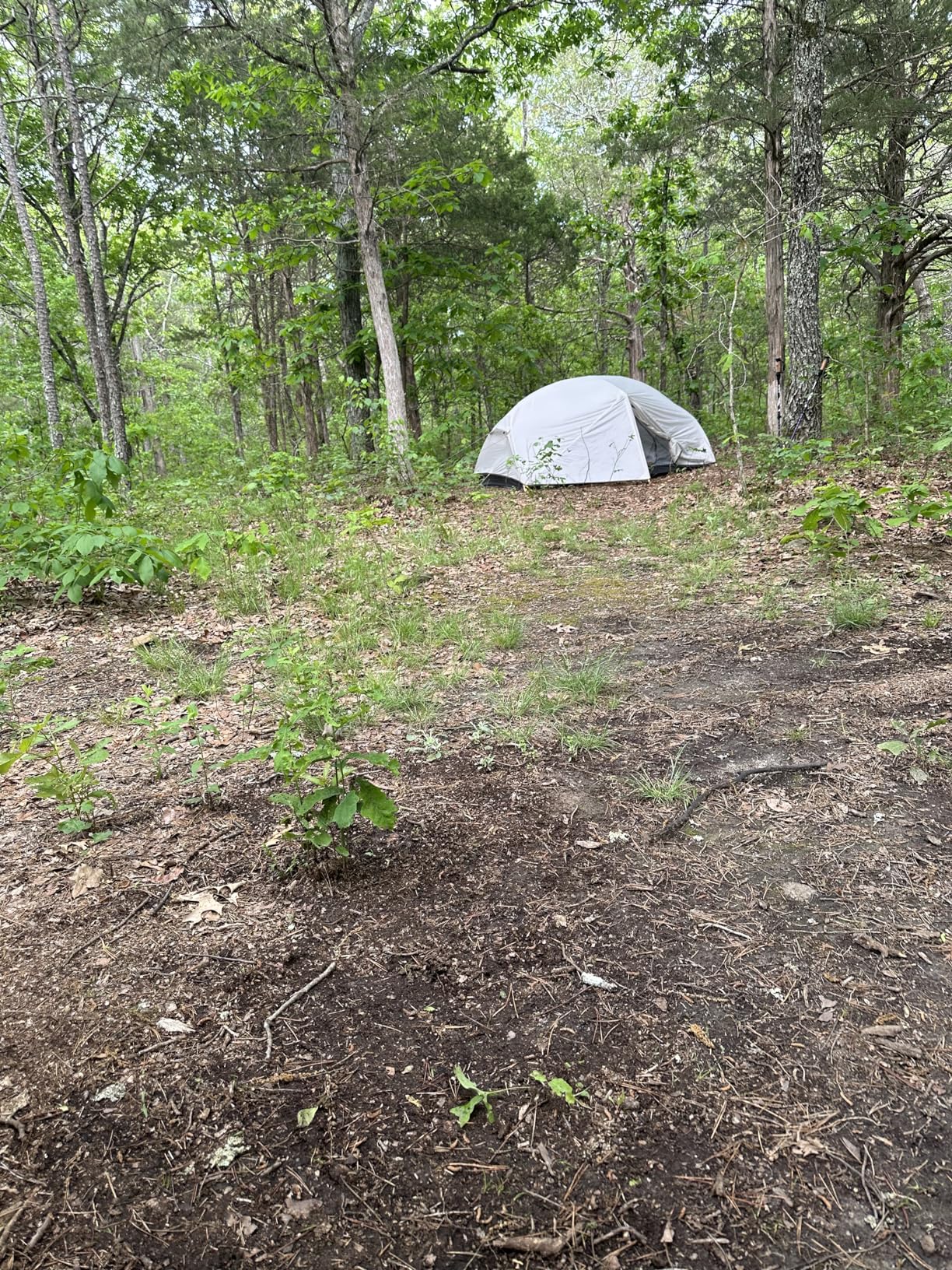 Naturehike Mongar 2 Person Backpacking Tent, 3 Season Ultralight Lightweight 2 Person Tent, Double Layer Free Standing Tents for Camping Hiking Cycling customer photo 4