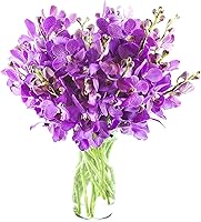 Vista 20 de Kabloom 10 Tallos Blue Valentine Dendrobium orquídeas, 2.5 libras