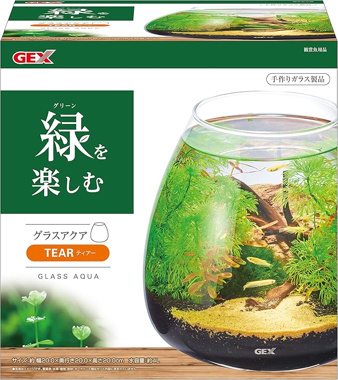 楽天最安値に挑戦 新品 Vvoir ジェックス 水槽 グラスアクアリウム スロープ テラリウム 1個 X 1 222 Coplawfirm Com