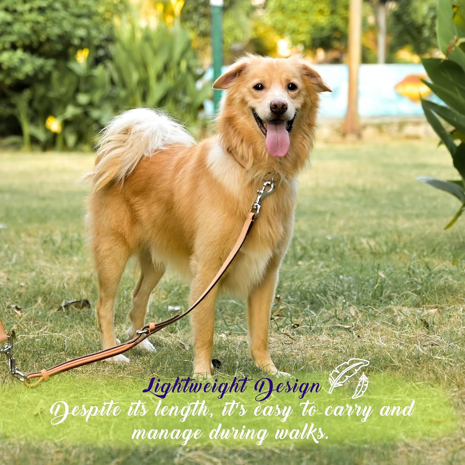 Leather Dog Leash Training Leash | Strong Durable Leather Dog Leash | Leashes for Large Dogs | Soft and Comfortable Dog Leashes for Medium and Large Dogs (Color - Sand Pearl/Peach) 3/4" X 6ft.