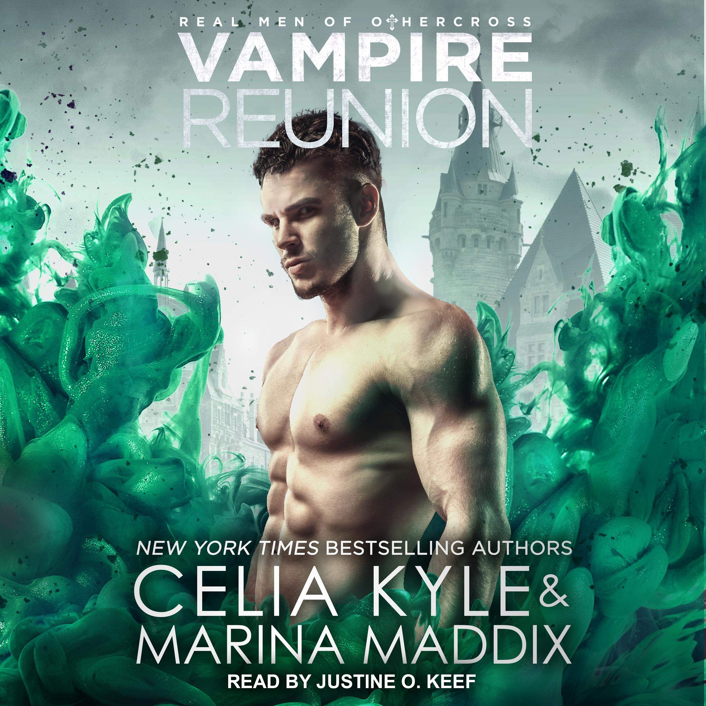Cover art for Vampire Reunion
