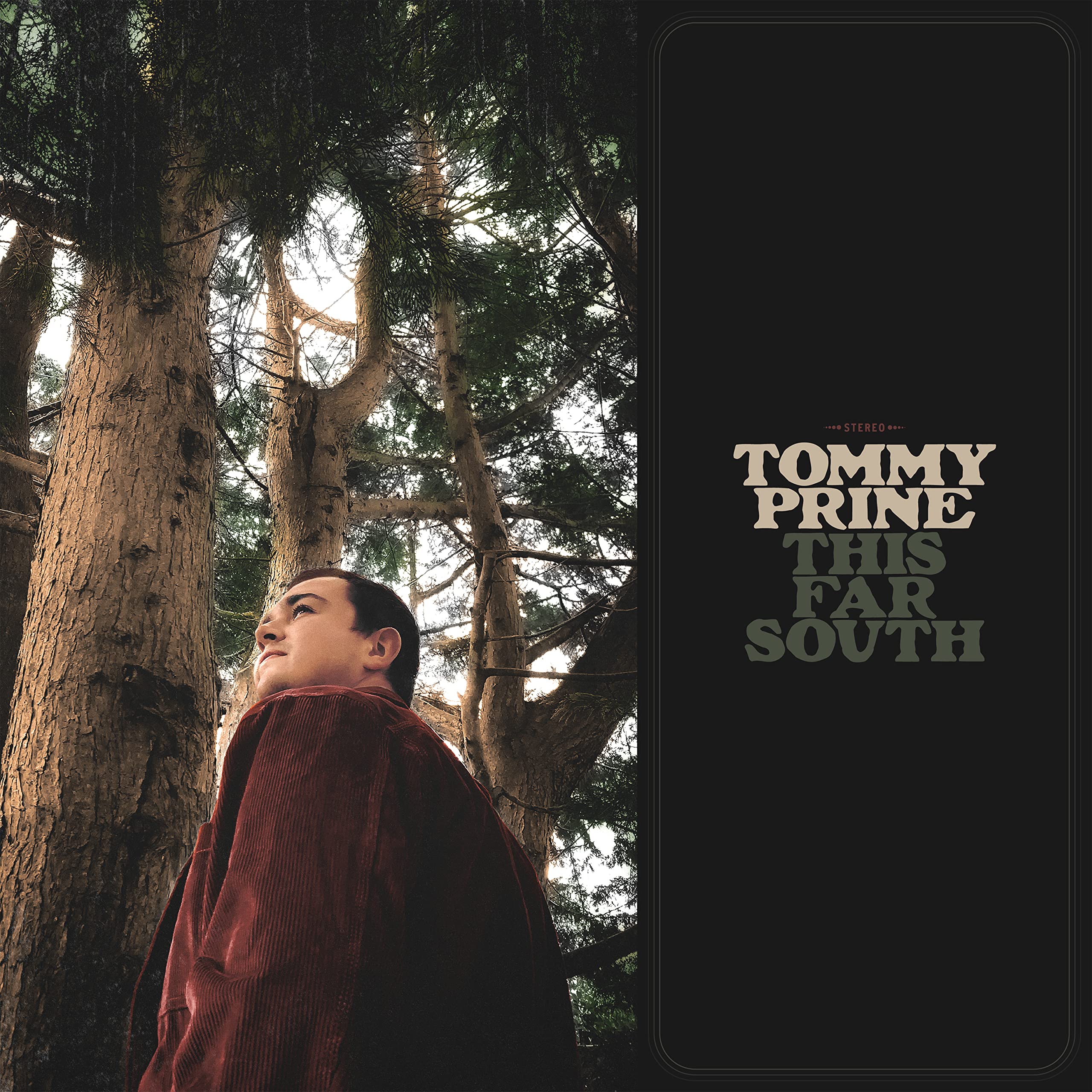 This Far South [VINYL]
