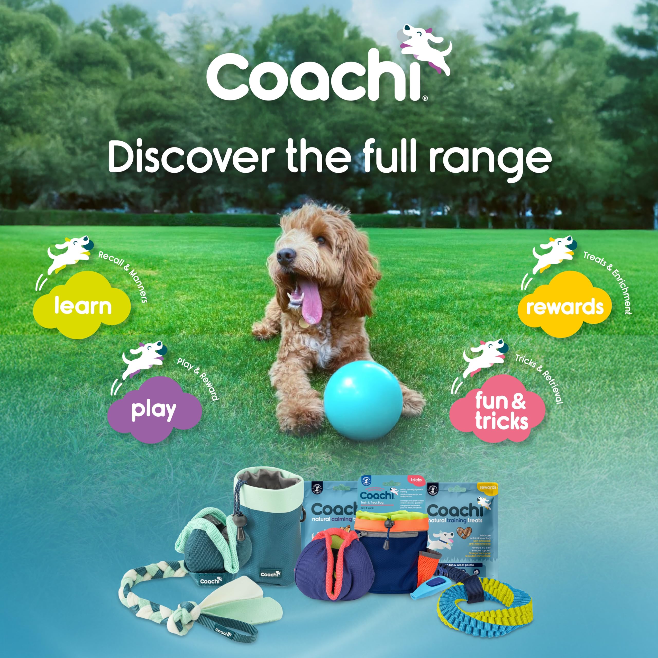Coachi Boomi Balle | 25 cm | Chaux électrique | Jouet résistant pour chiens actifs | Durable et Longue Durée | Flotte pour le Jeu Aquatique | Conçu par des experts canins